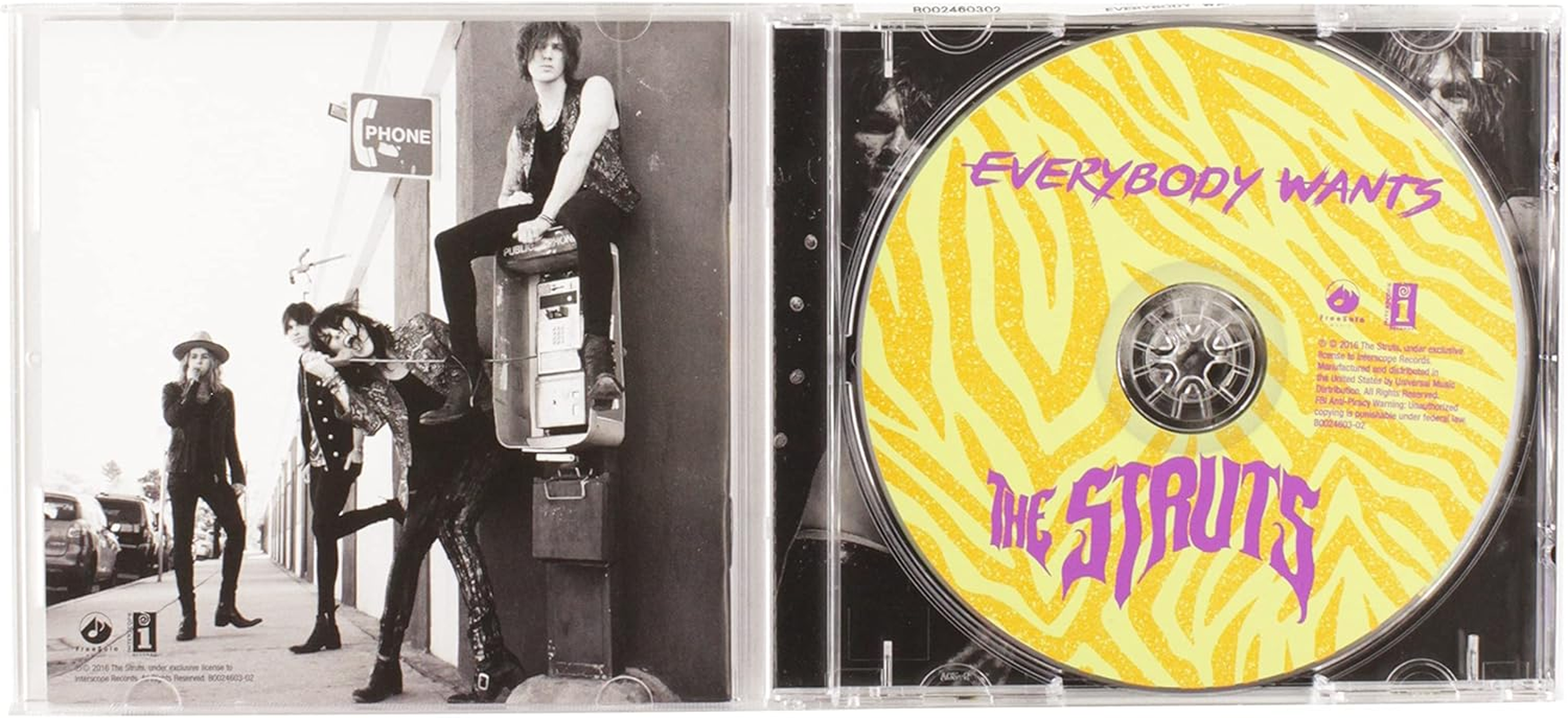 Everybody Wants image number 2