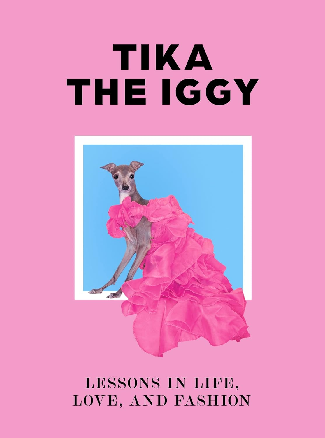 Tika the Iggy: Lessons in Life, Love, and Fashion image number 4