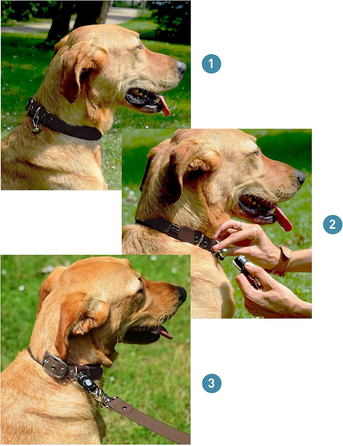 Pettec Dog&rsquo;S Leash & Collar Set in Trioflex, 2M Leash + Quick Connector, Magnetic Link for Quickly Opening and Closing the Hook on Pet&rsquo;S Lead in 1 Second, Stainless, for Dogs up to 40Kg image number 4