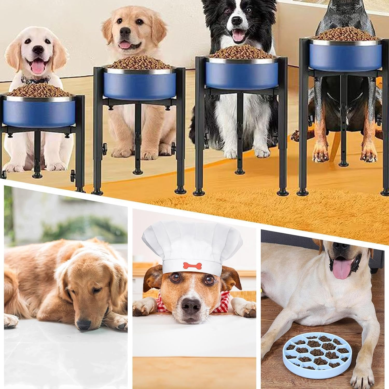 Single Dog Bowl Stand image number 1