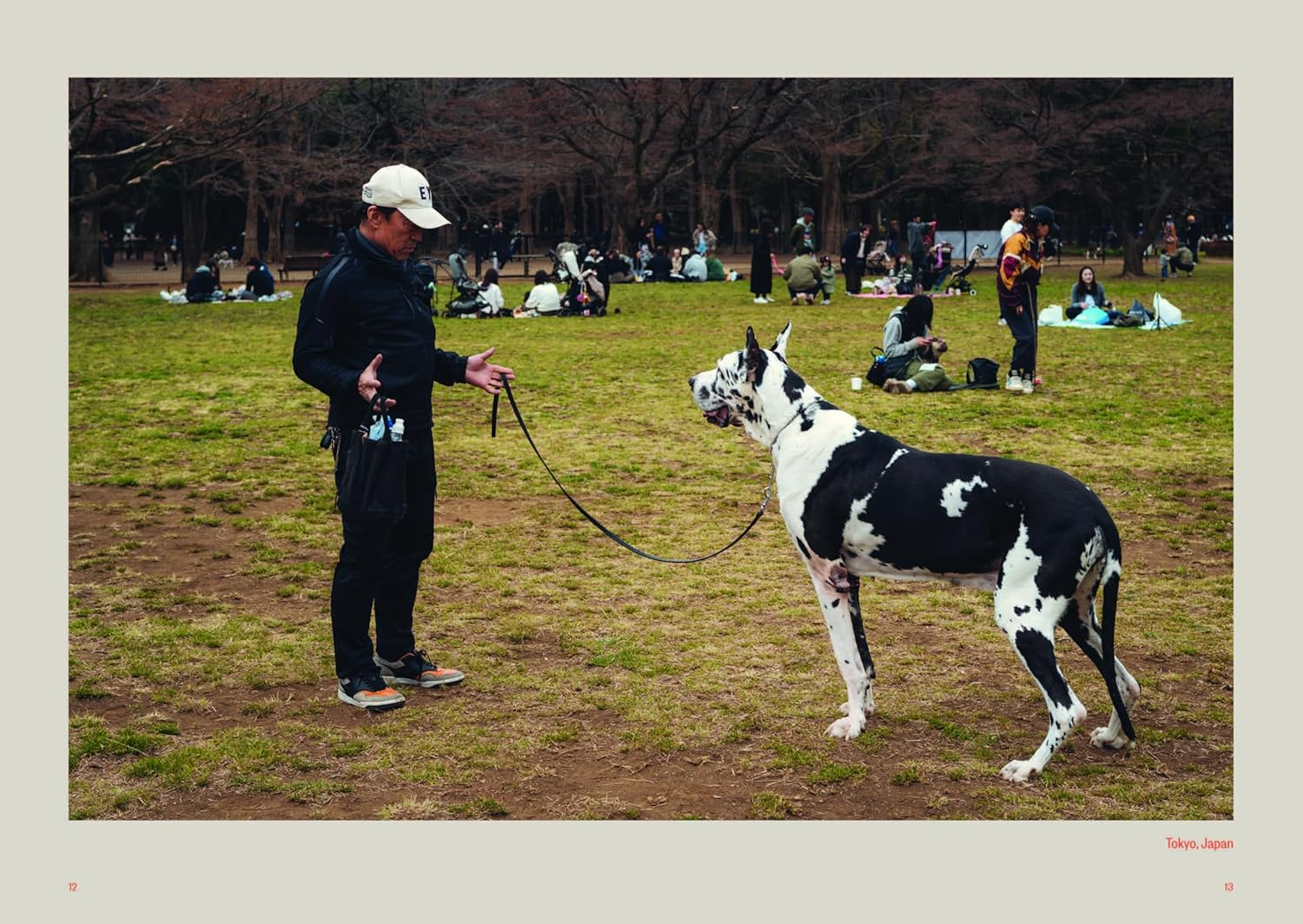 Dog&rsquo;S Best Friend: a Portrait of an Unbreakable Bond image number 2