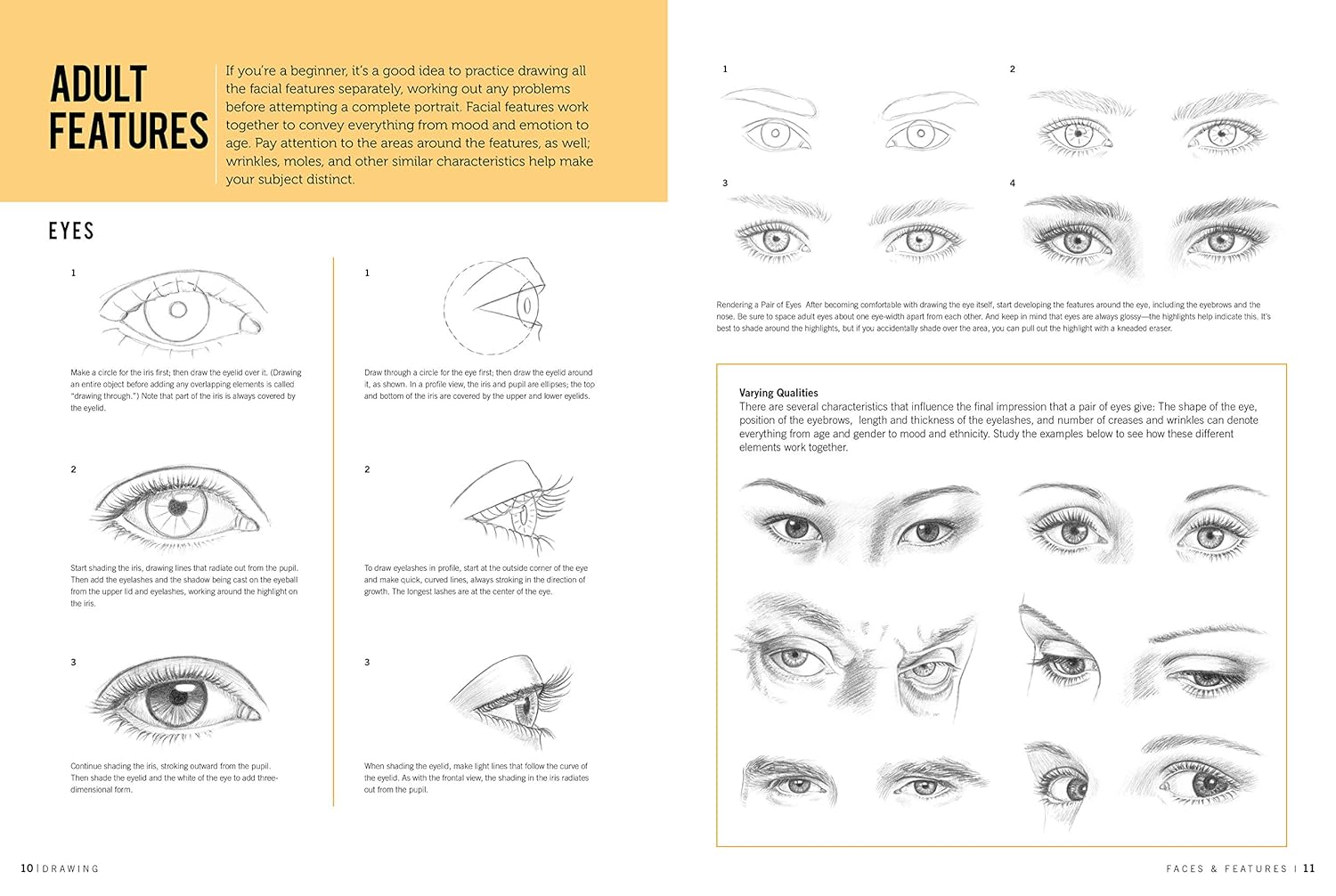 Faces & Features (Drawing): Learn to Draw Step by Step