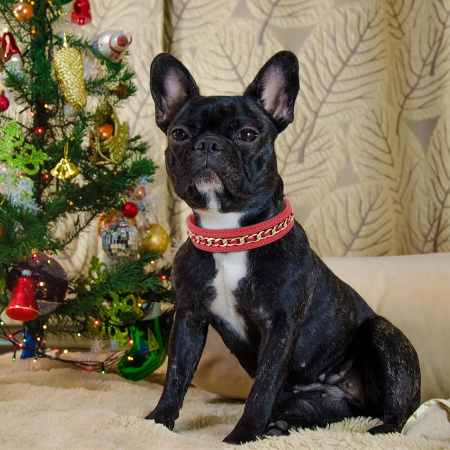 Didog Genuine Leather Dog Collar, Braided Dog Collar Leather Stylish Durable Metal Chain Dog Collar for Medium Large Dogs, Red, M image number 4