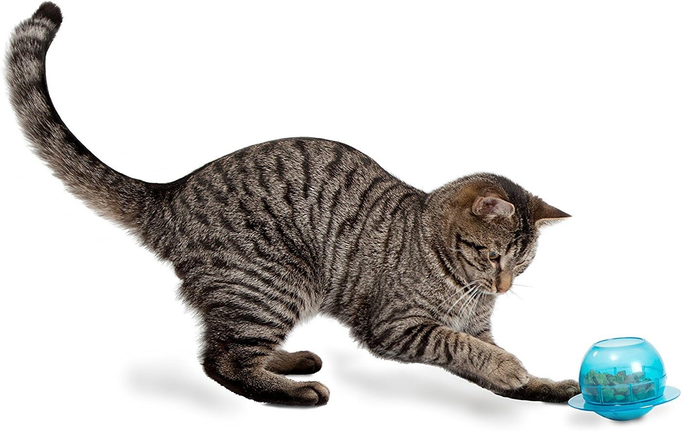 Petsafe Fishbowl Cat Feeder Toy image number 1