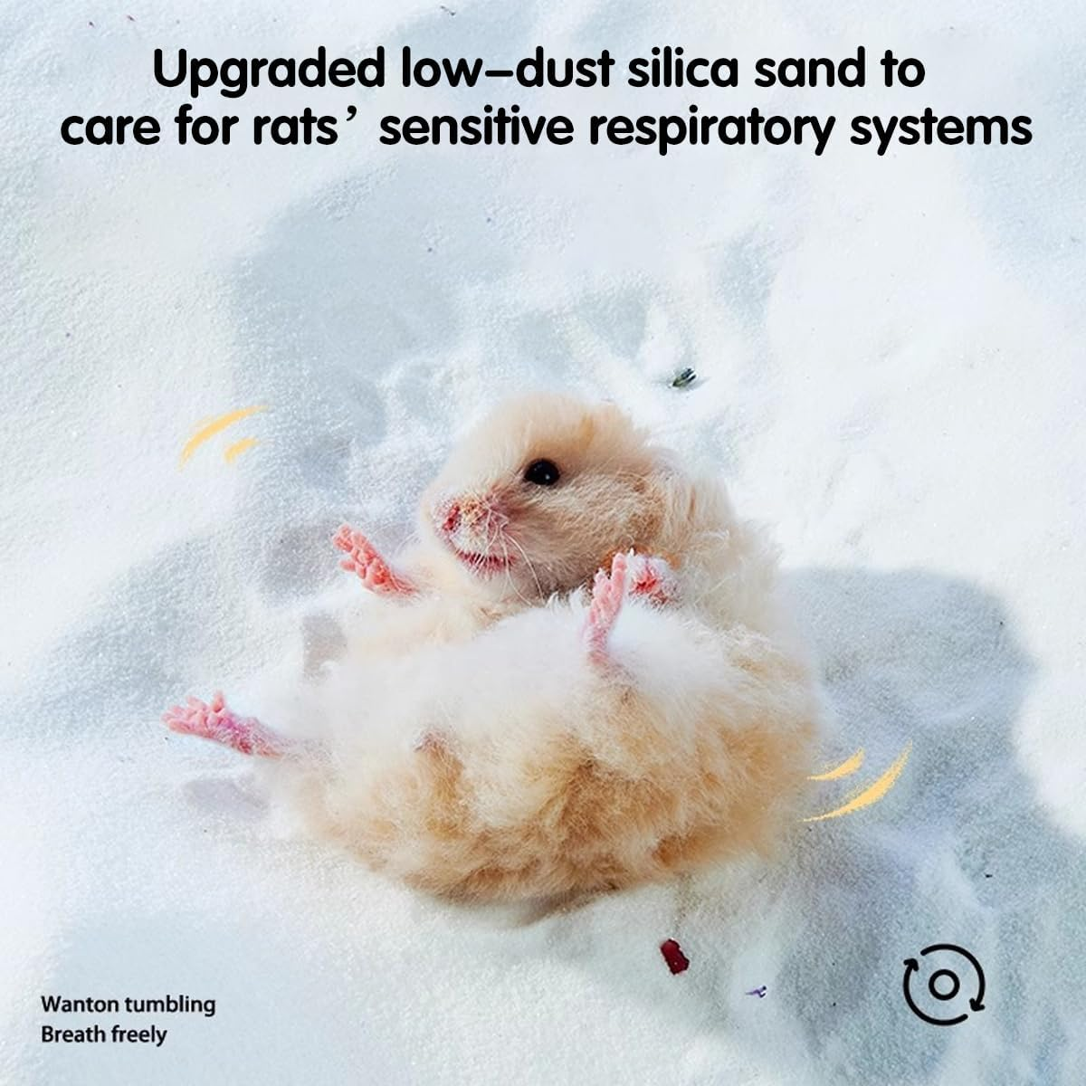 AIMALL Hamster Bath Sand, 2KG Urine Sand Set, Deodorizing Low Dust Bath Sand for Golden Bears and Small Rodents, 0.005 Inch Fine Grain image number 3