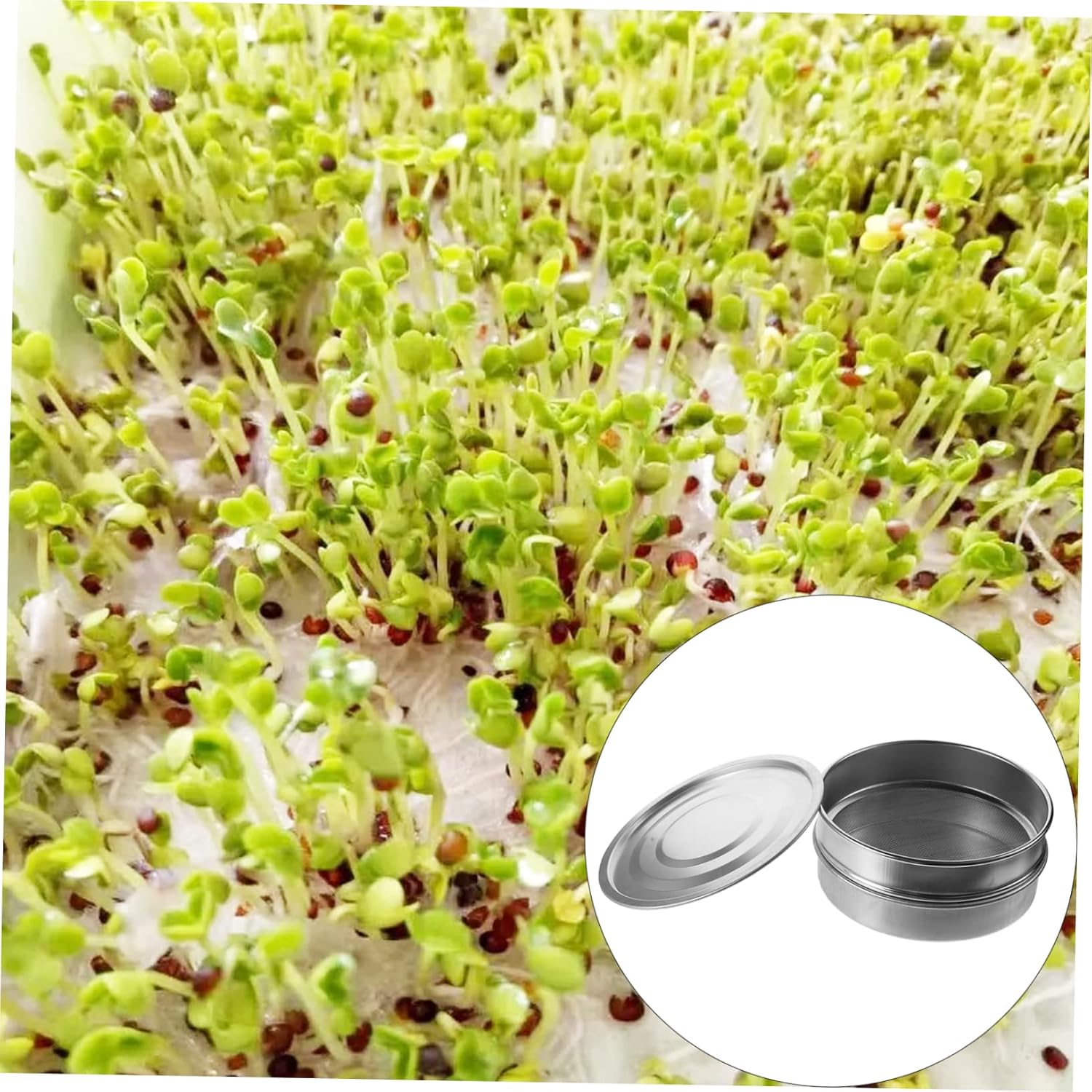 NULYLU Stainless Steel Mesh Basin Stackable Sprouting Tray Kit for Germination Gardening Accessory for Growing Microgreens and Plants image number 4