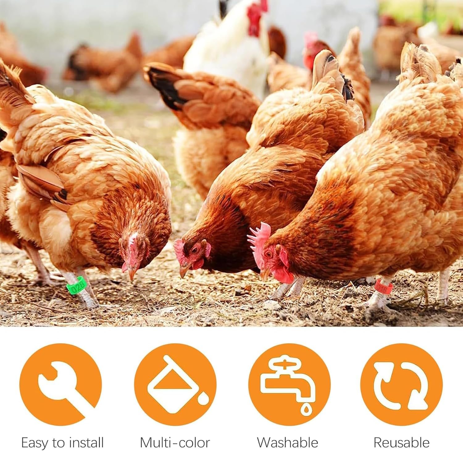 Zalizr 100 Pcs Chicken Leg Bands, 20Mm Colorful Numbered Poultry Identification Tags, Durable Plastic Leg Bands for Chickens, Ducks, Geese, Turkeys, and Gamefowl image number 2