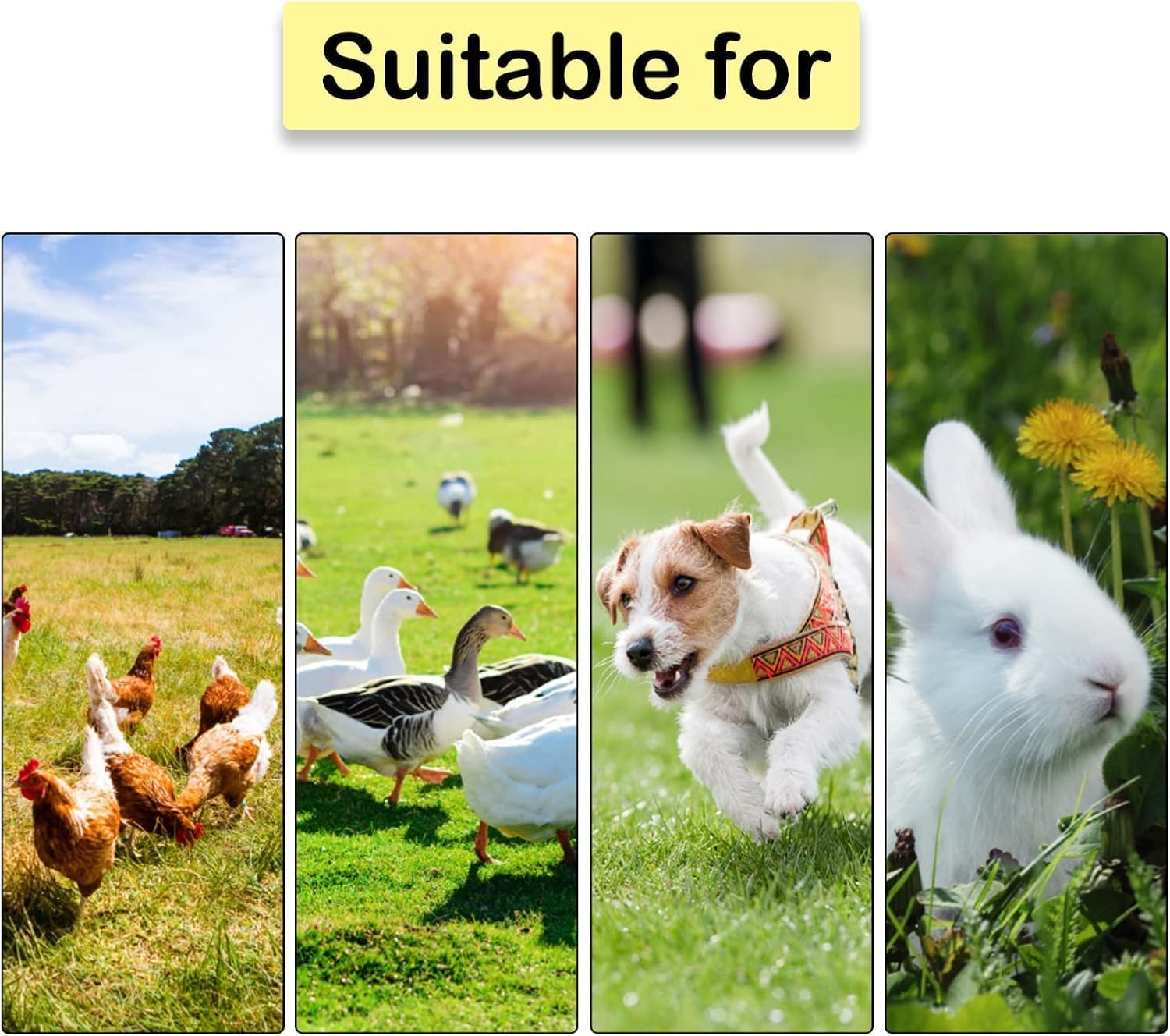 Washable Chicken Nesting Box Pads,6 PCS Reusable Nest Boxes Pad Chickens Coop Liners Bedding, Mat Accessories Liners for Hen Coop Egg Duck Reed Goose(30 X30X3 CM) image number 3