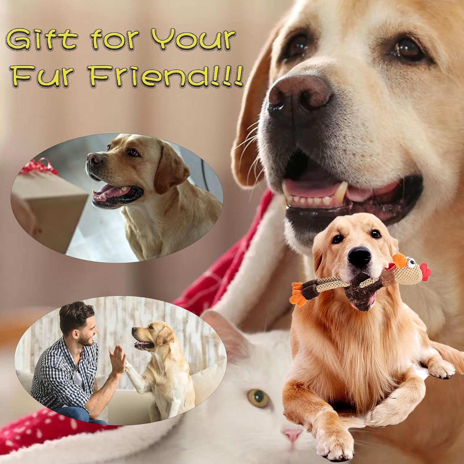 Dog Plush Toy, Squeak Toy, Turkey Dog Toys - Designed for All Dogs, Puppy Toys, Large Dogs - Keep Them Busy with Plush Dog Puzzle Toy image number 5