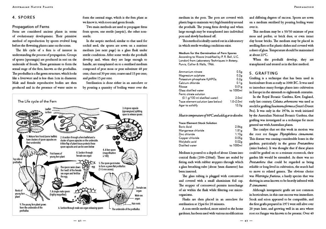 Australian Native Plants - 7Th Edition: Cultivation, Use in Landscaping and Propagation image number 6