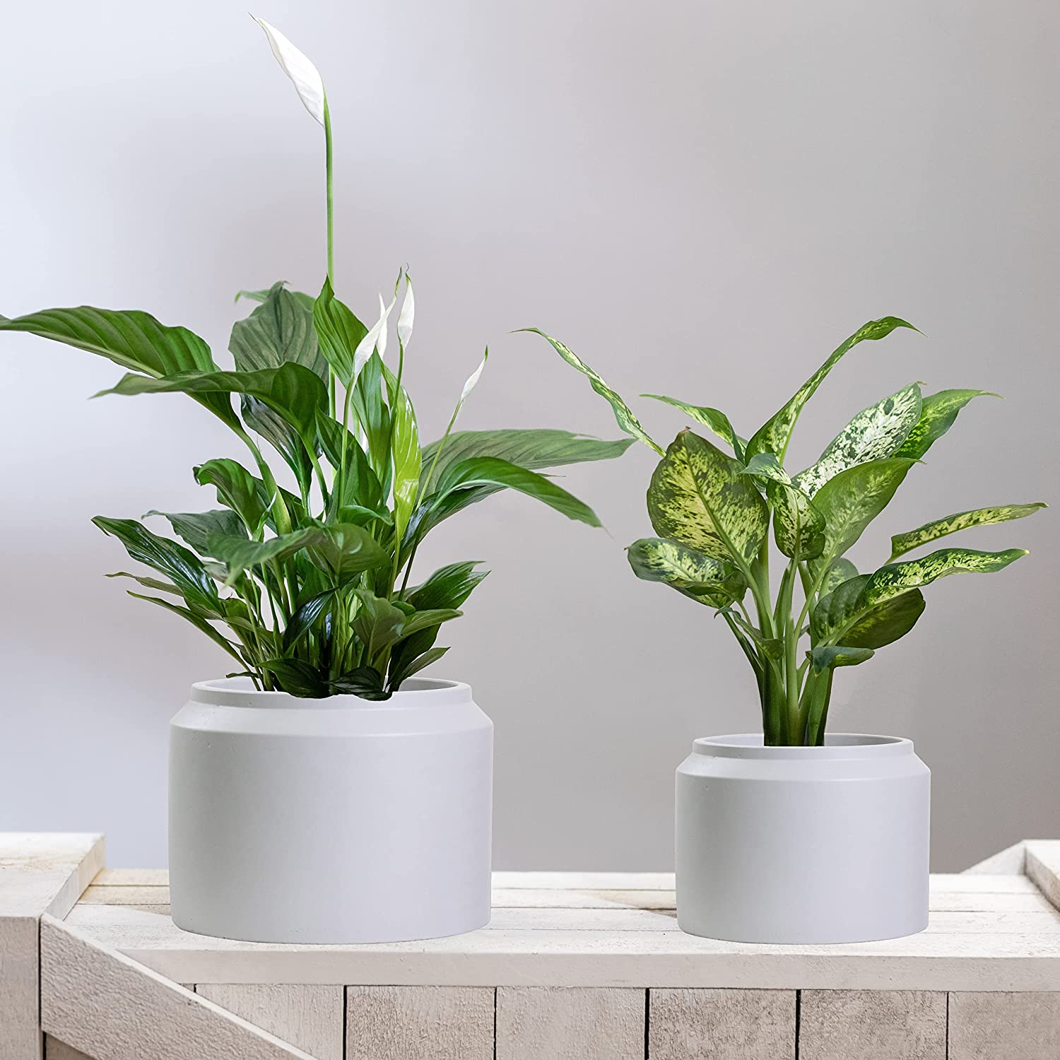 Porto Plant Pots - Matt Black Ceramic Jar Design Plant Pots Indoor & Outdoor Set 2 Planters (Matt Black) image number 1