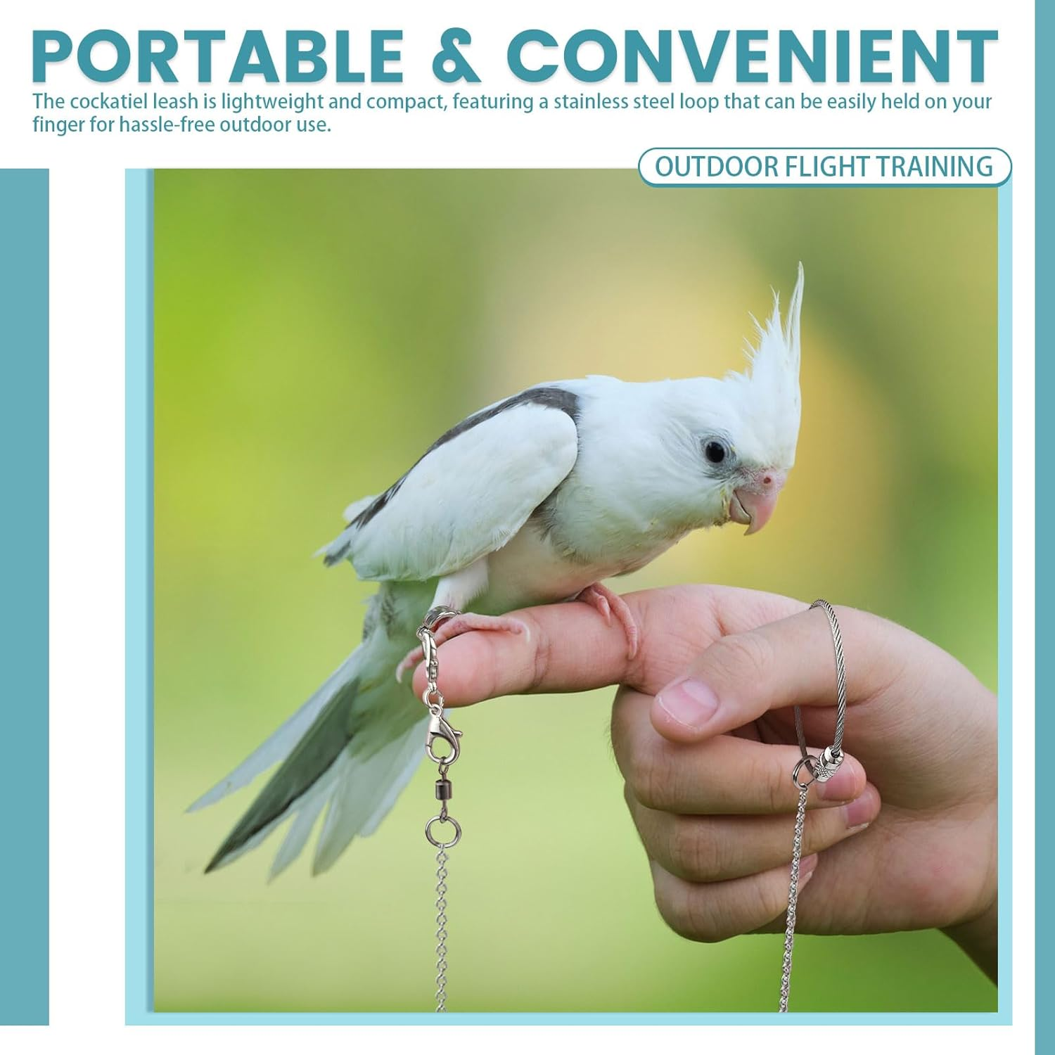 LELE LIFE 2 Pack 1M Bird Leash with 5 Sizes Ankle Rings, Stainless Steel Anti-Bite Parrot Bird Harness Flying Training Chain Leg Rope Outdoor Parrot Alloy Foot Ring image number 6