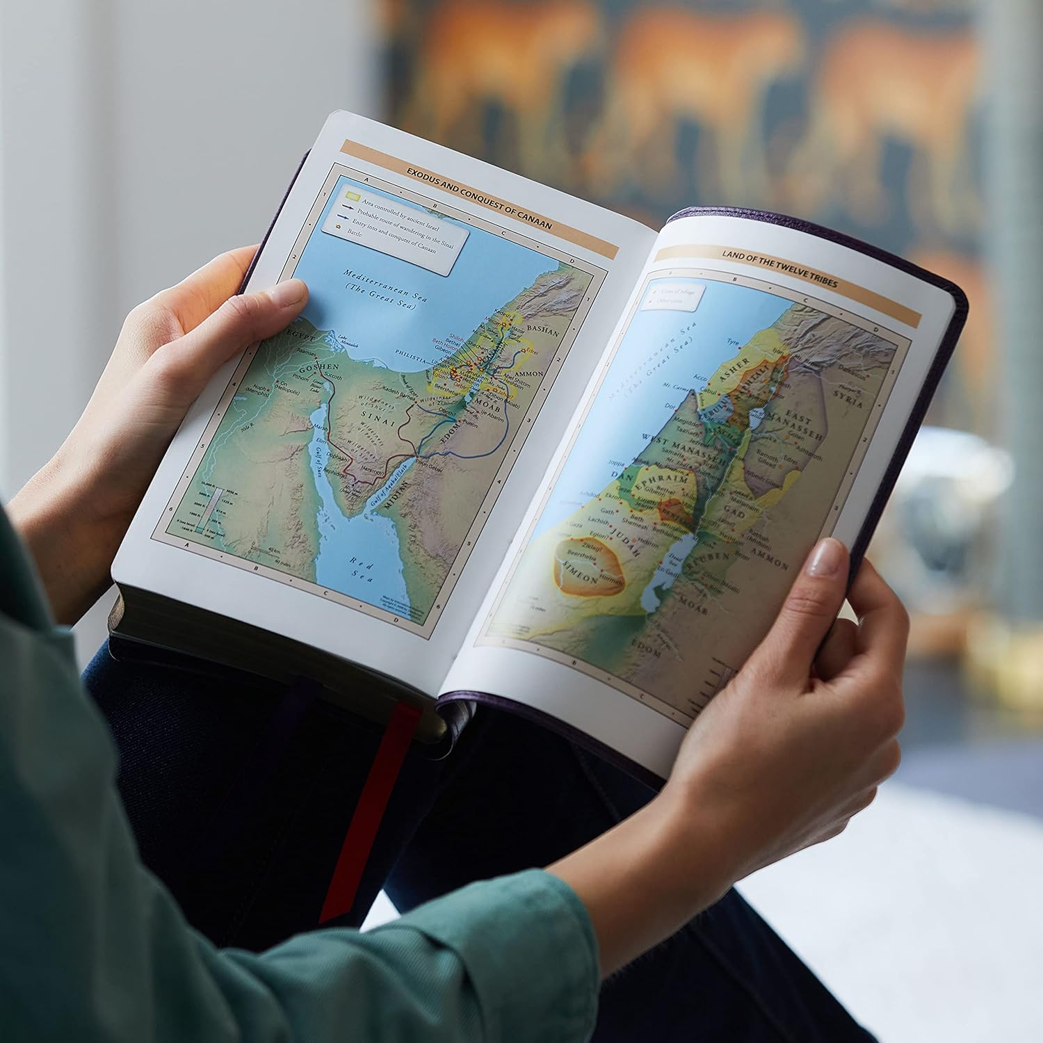 NKJV Personal Size Reference Bible, Sovereign Collection, Red Letter, Comfort Print [Brown]: Holy Bible, New King James Version