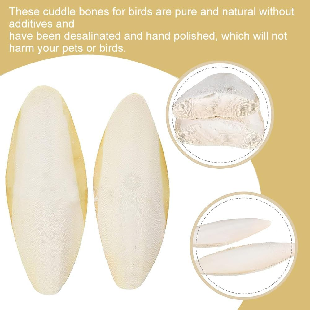 Natural Cuttlefish Bone 8 Pieces for Birds, Parrots and Turtles &ndash; Toys image number 5