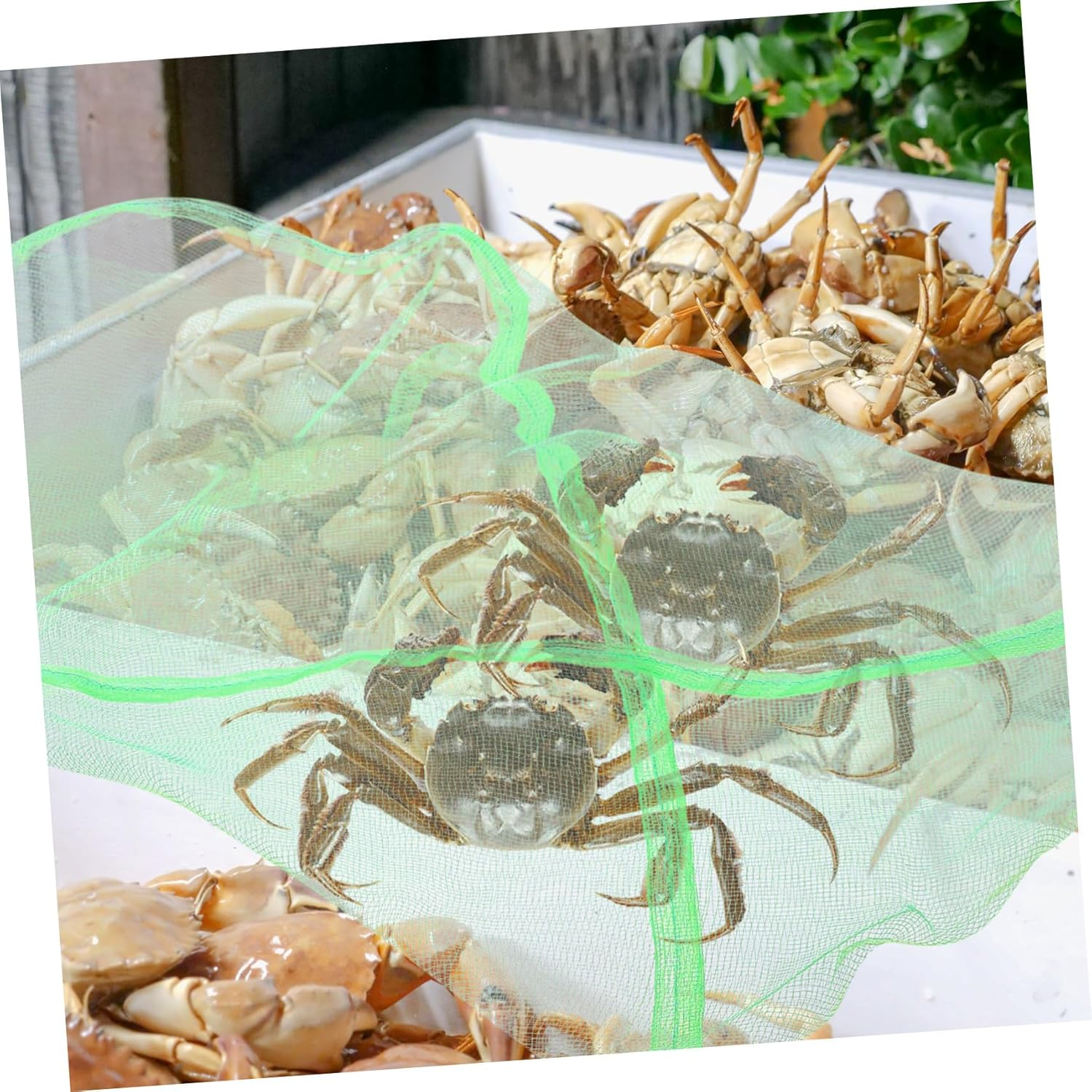 DOITOOL 10Pcs Portable Outdoor Crab Mesh Bags Quick-Drying Fishing Net Pouches Multi-Use Drawstring Storage for Fish Crabs Lobsters image number 3