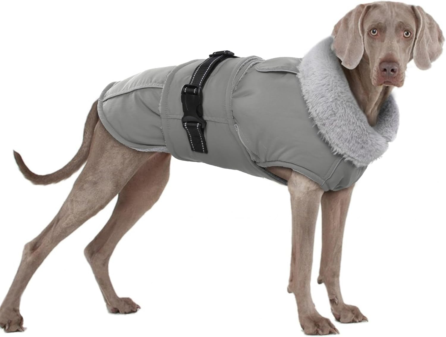 Fleece Winter Coat for Dogs, Dog Coat, Waterproof Dog Jacket, French Bulldog, Warm Vest, Adjustable Dog Clothing, Winter for Small Dogs (Red, 3XL) image number 4