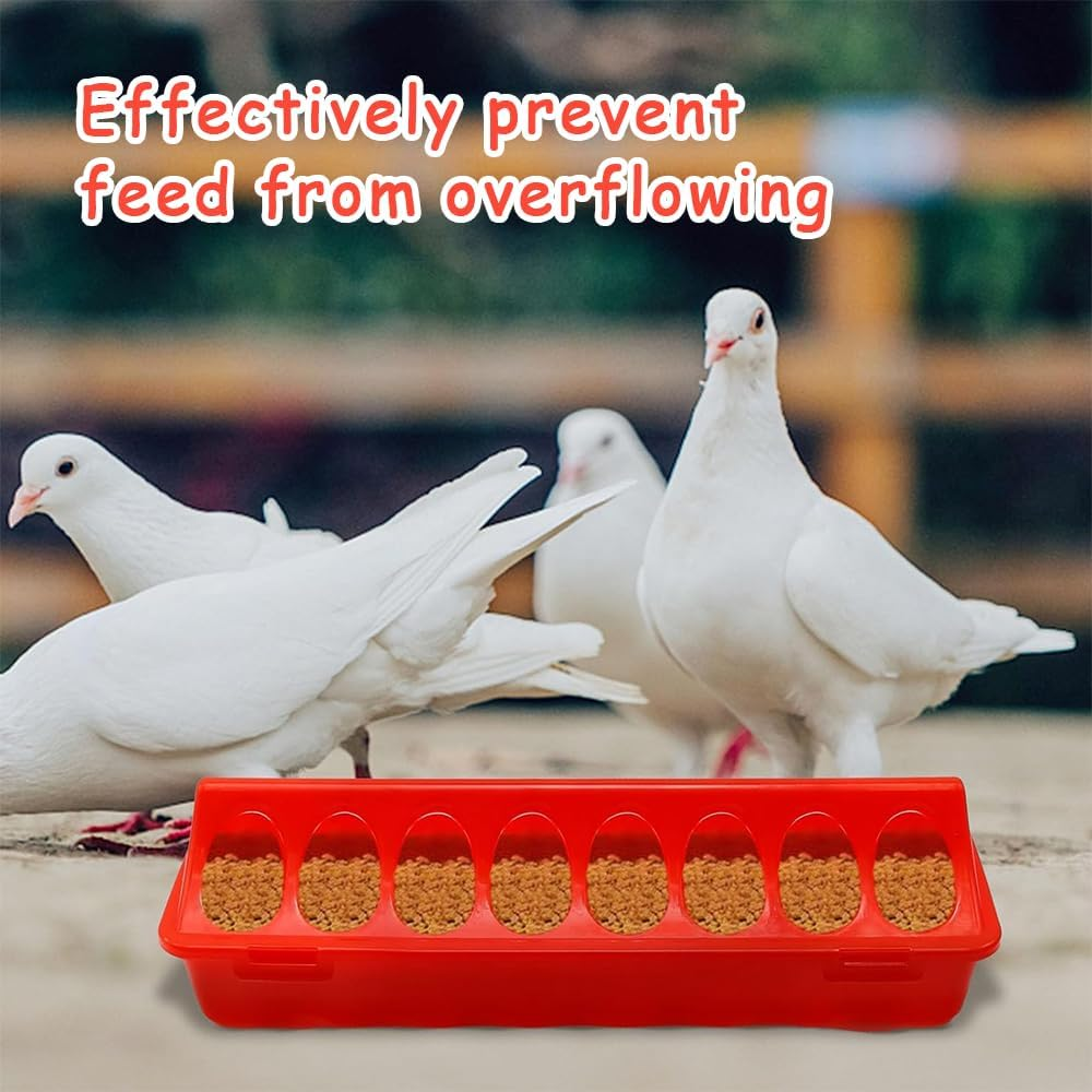 6-Pack Plastic Small Poultry Feeders, Chicken Feeding and Drinking Dispensers, Spill-Proof Feeding Trays with Flip Lids and Holes for Pigeons, Quail, Small Birds, Ducks and Chickens image number 5
