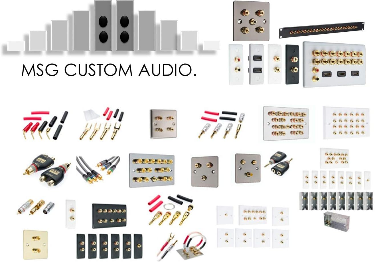 11.0 Audio/Av Surround Sound Speaker Wall Plate with Gold Binding Posts No Soldering Required image number 2