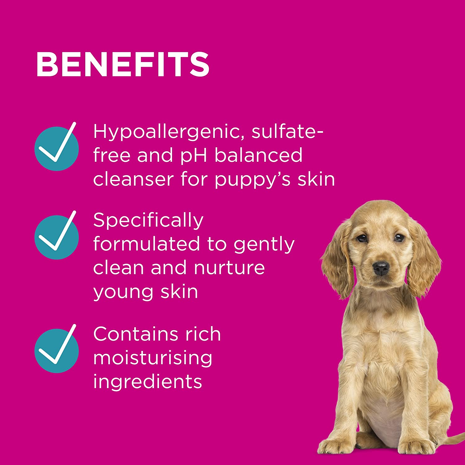 PAW by Blackmores Gentle Puppy Conditioning Spray | Moisturises, Freshens & Detangles Coat |200Ml image number 6