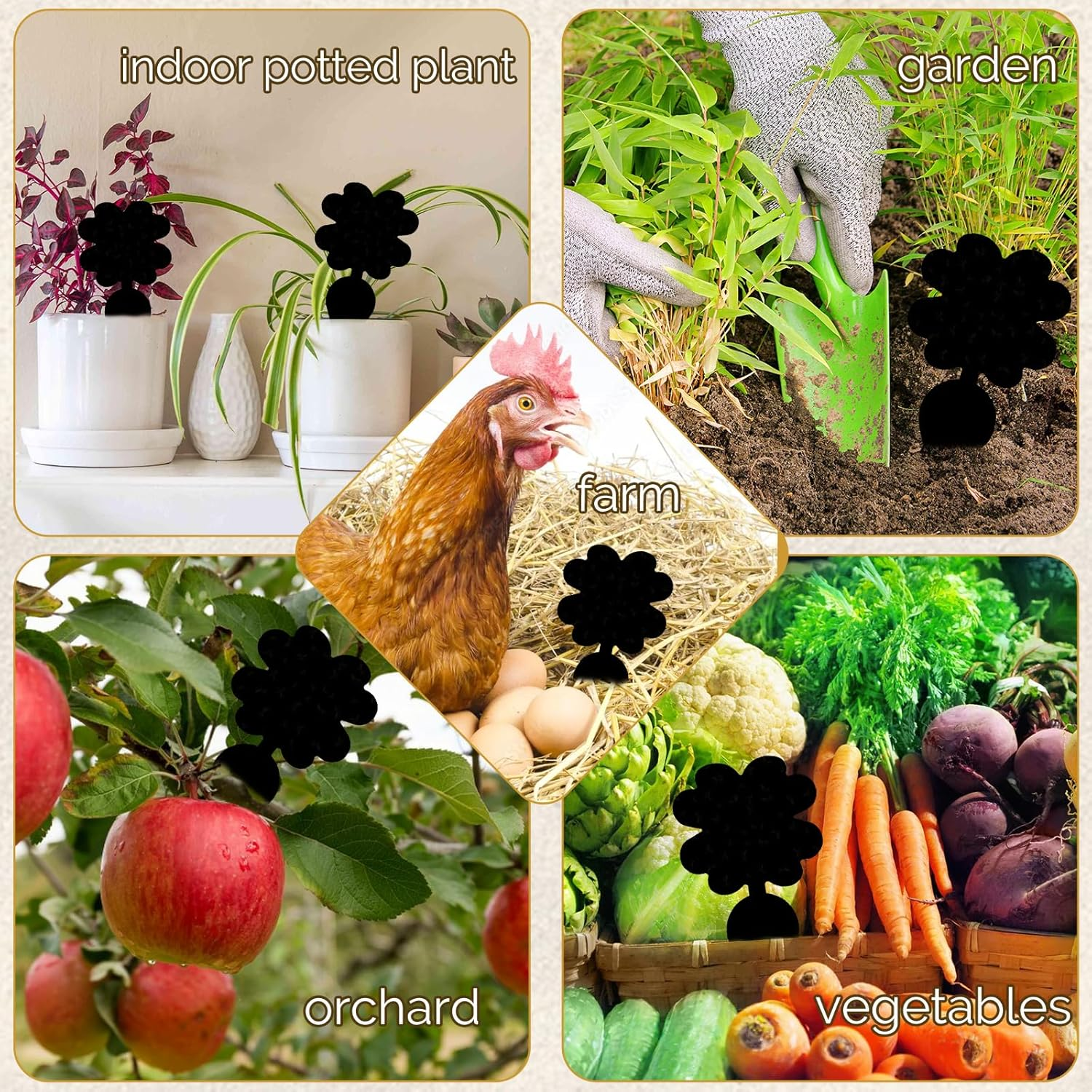 60Pack Gnat Trap Sticky, Fruit Fly Trap for Files Moths Mosquito, Waterproof Fly Trap, Non-Toxic, Harmless and Odorless, Friendly to Pets and Humans, Indoor and Outdoor Use, Black image number 4