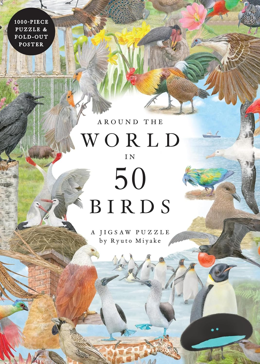 Around the World in 50 Birds: 1000 Piece Jigsaw image number 2