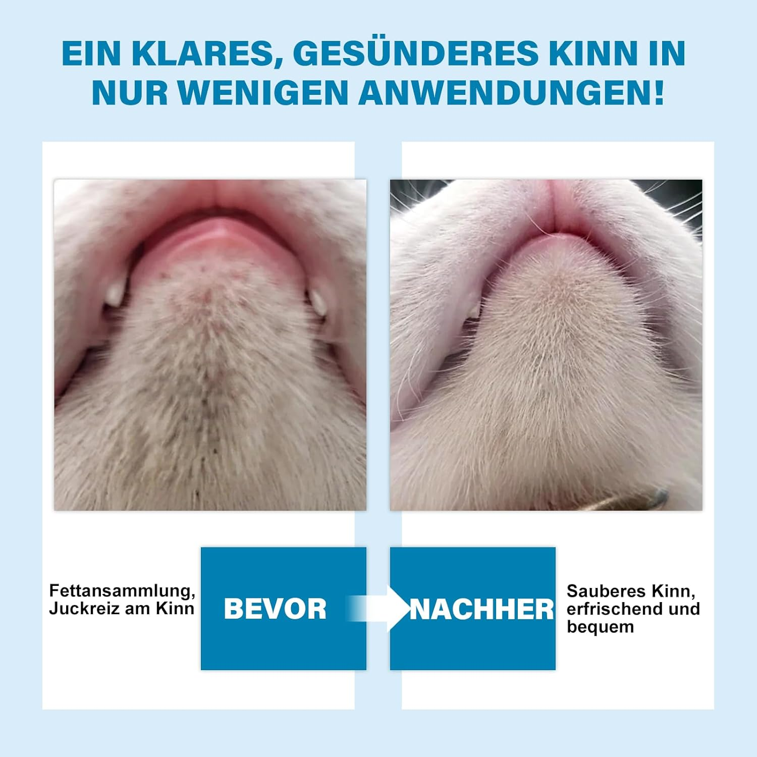 GJYC PET Cat Acne Cream & Cat Acne Brush, Cat Acne Chin Care Set - Gently Removes Cat Chin Blackheads, Nourishes Cat Chin Softness and Freshness, 60 Ml image number 4