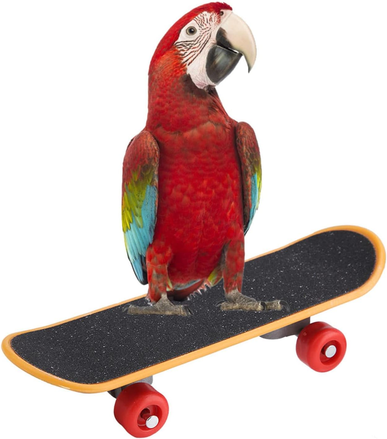 Zerodis Bird Intelligence Toys Training Skateboard Plastic Interactive Play for Budgies Parakeets Cockatiels Lovebirds Conures Small Medium Birds image number 6