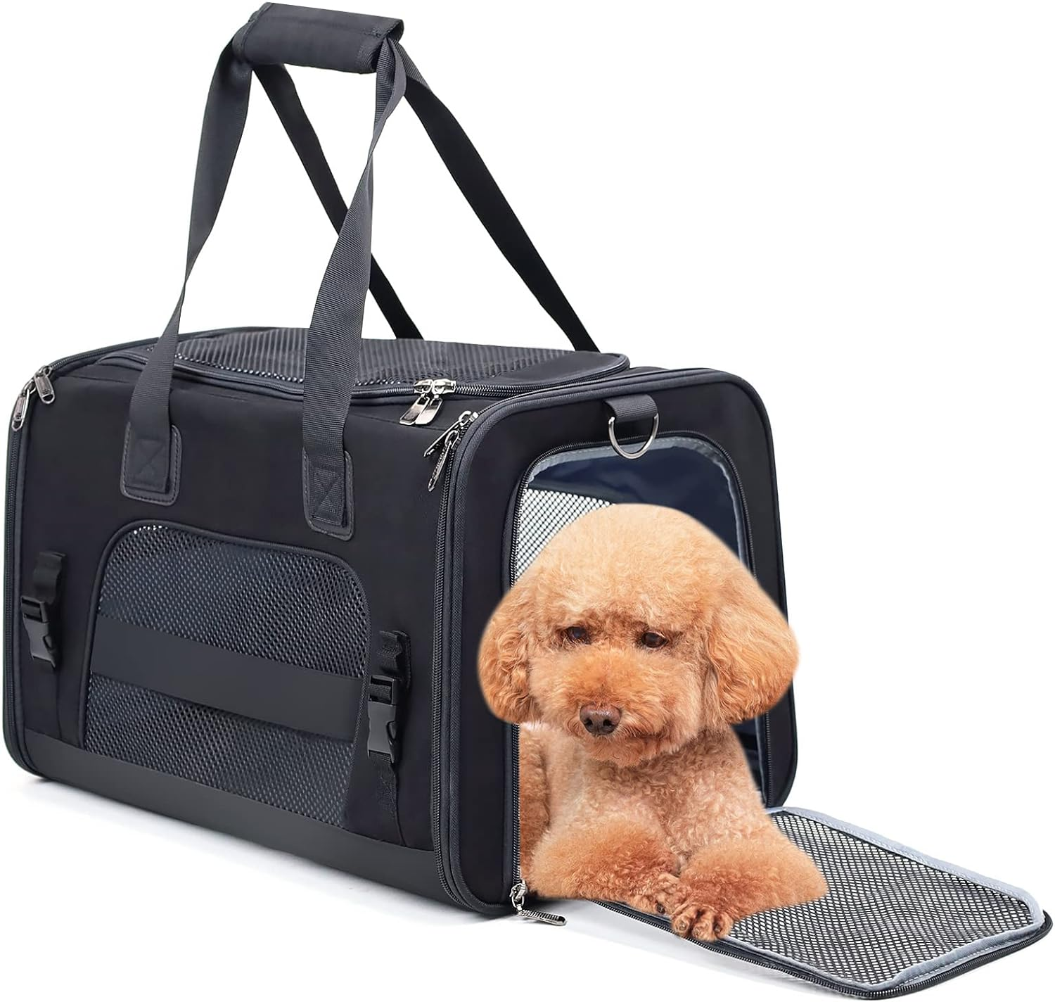 Soft Side Pet Carrier, Cat Carrier Bag, Pet Carrier Bag for Small Dog Cat, Portable Bag Carrier for Small to Medium Cat and Small Dog,Cat Carrier 47L X 31W X 30H Centimetres