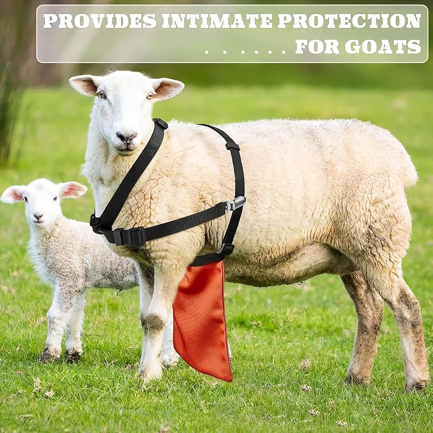 Goat anti Mating Apron - anti Breeding Sheep Animal Skirt for Goats,Livestock Clothing Bellyband for Livestock Keepers Homesteaders Farm Owners Breeders image number 4