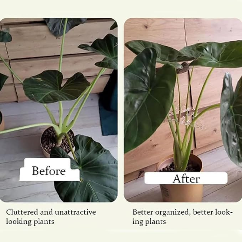 Monstera Grapple Clips | Turtle Shell Bamboo Plant Support Clamps | Aesthetic Leaf Clips for Monstera & Climbing Plants | Sturdy Plant Stake Rings to Keep Vines Tame and Growing Vertical (4PCS) image number 2