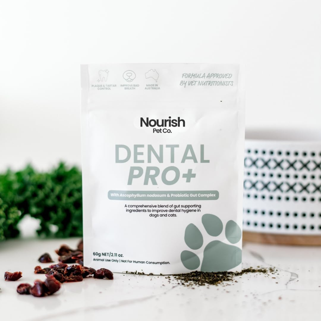 Nourish Pet Co. Dental Pro+ Pet Dental Powder, Cat & Dog Teeth Cleaning Powder, Breath Freshener, Fights Plaque and Tartar, Natural Ingredient Food Topper, 60G image number 6