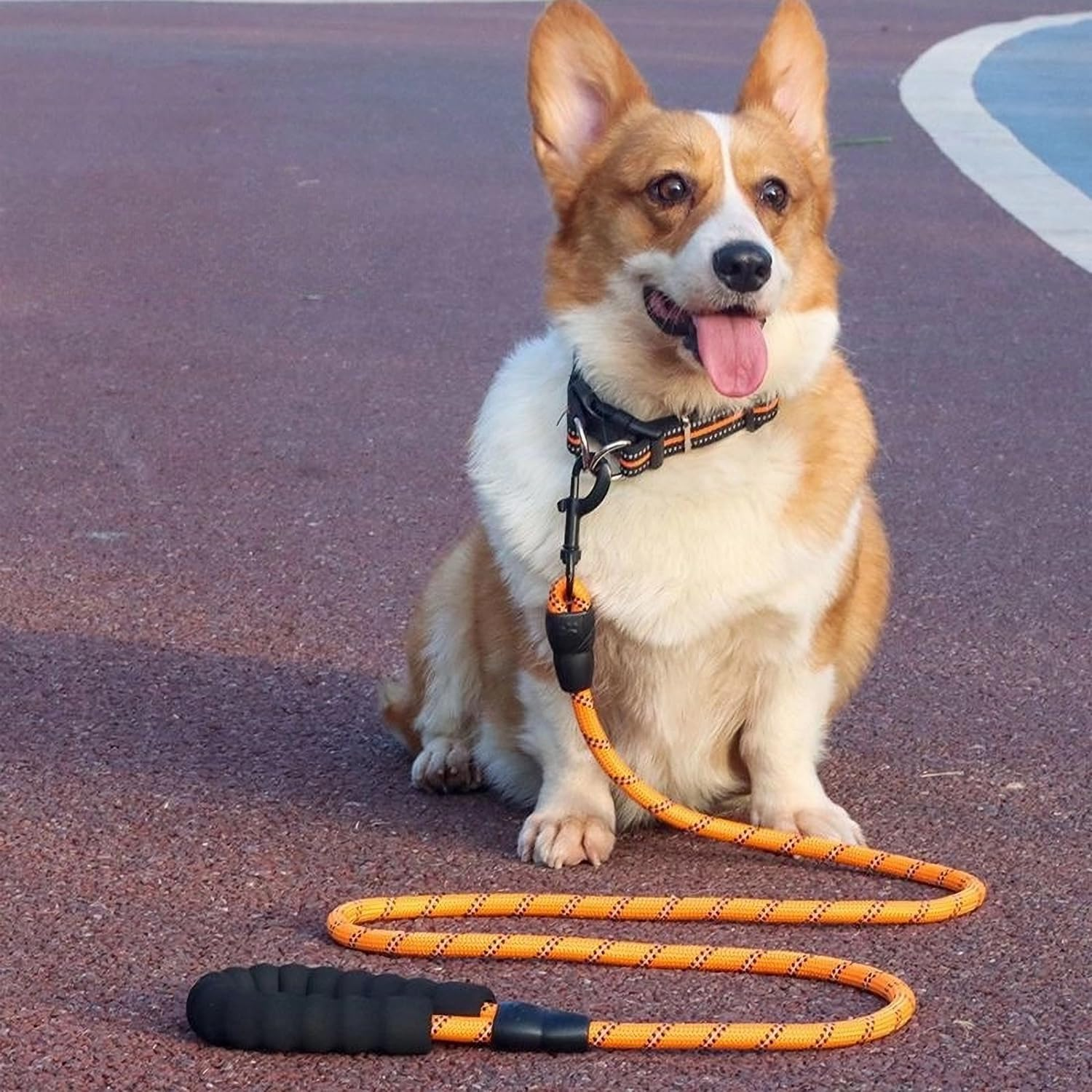 YOBOKO Luminous Explosion-Proof Dog Leash Reflective Strip Pet Dog Lead Leash Dog Chain Super Long 3M Leash for Strong Dogs Outdoor (Purple, 1.2CM X 3M/9.8FT) image number 2