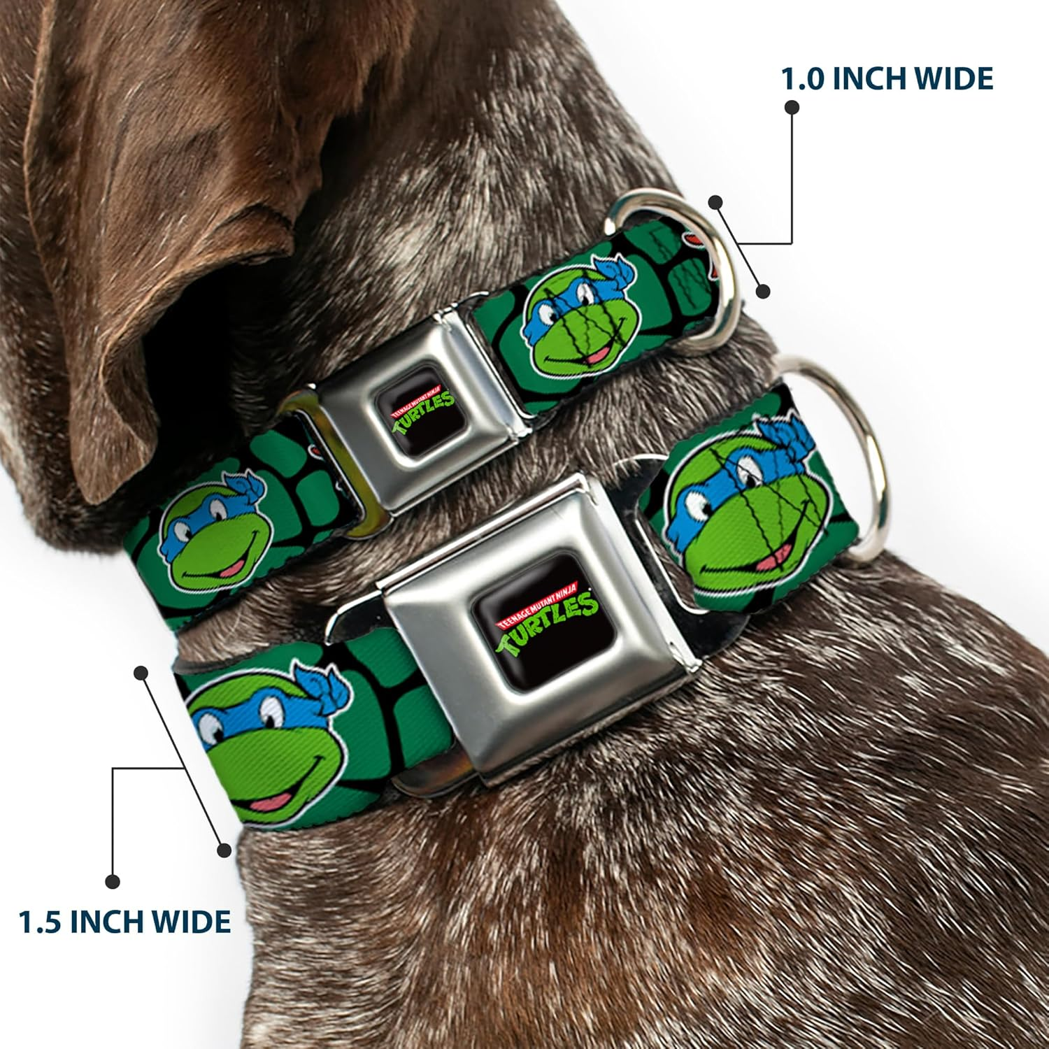 Buckle-Down Seatbelt Buckle Dog Collar - Classic TMNT Turtle Faces Black/Green Turtle Shell - 1" Wide - Fits 15-26" Neck - Large image number 3