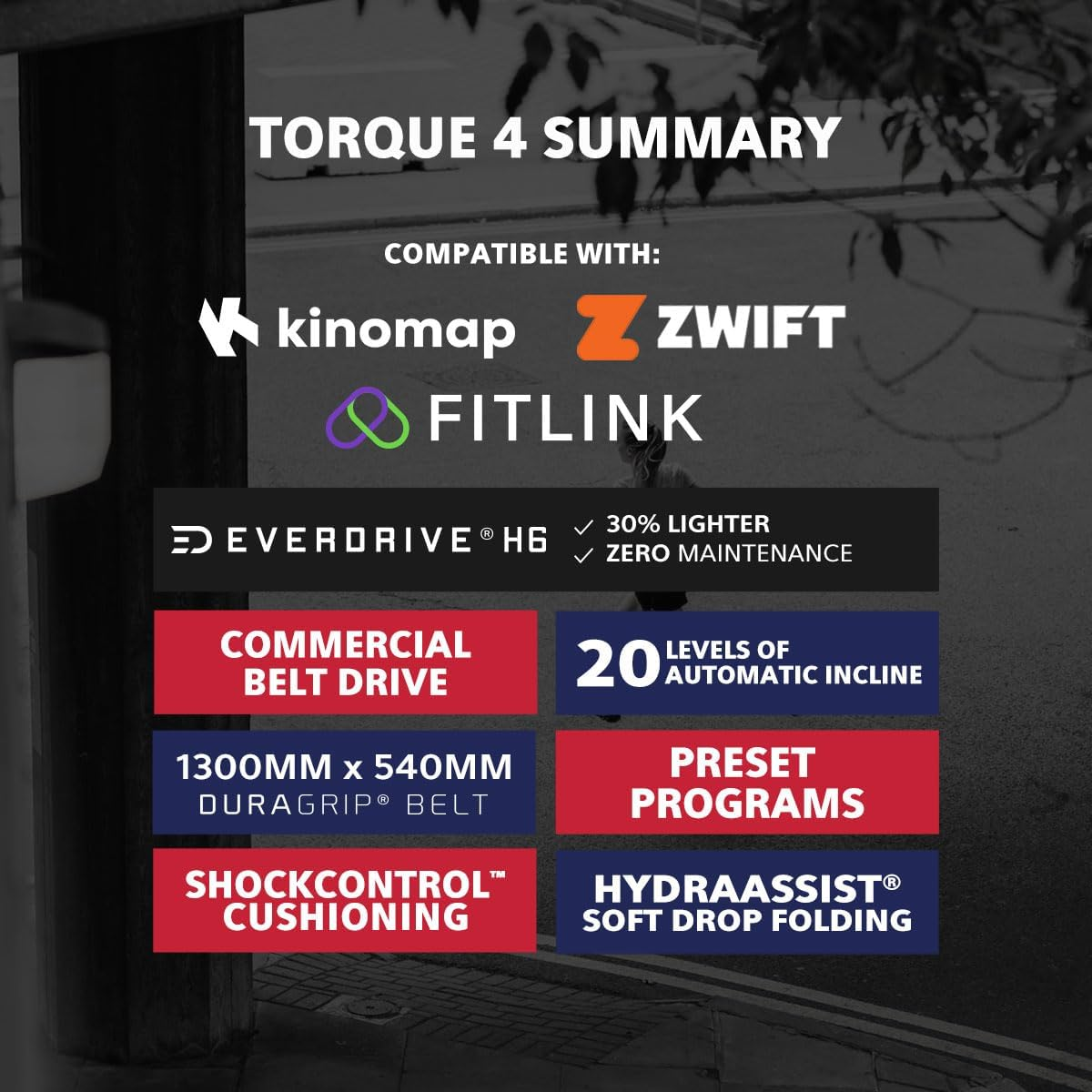 Lifespan Fitness Torque 4 Treadmill image number 2