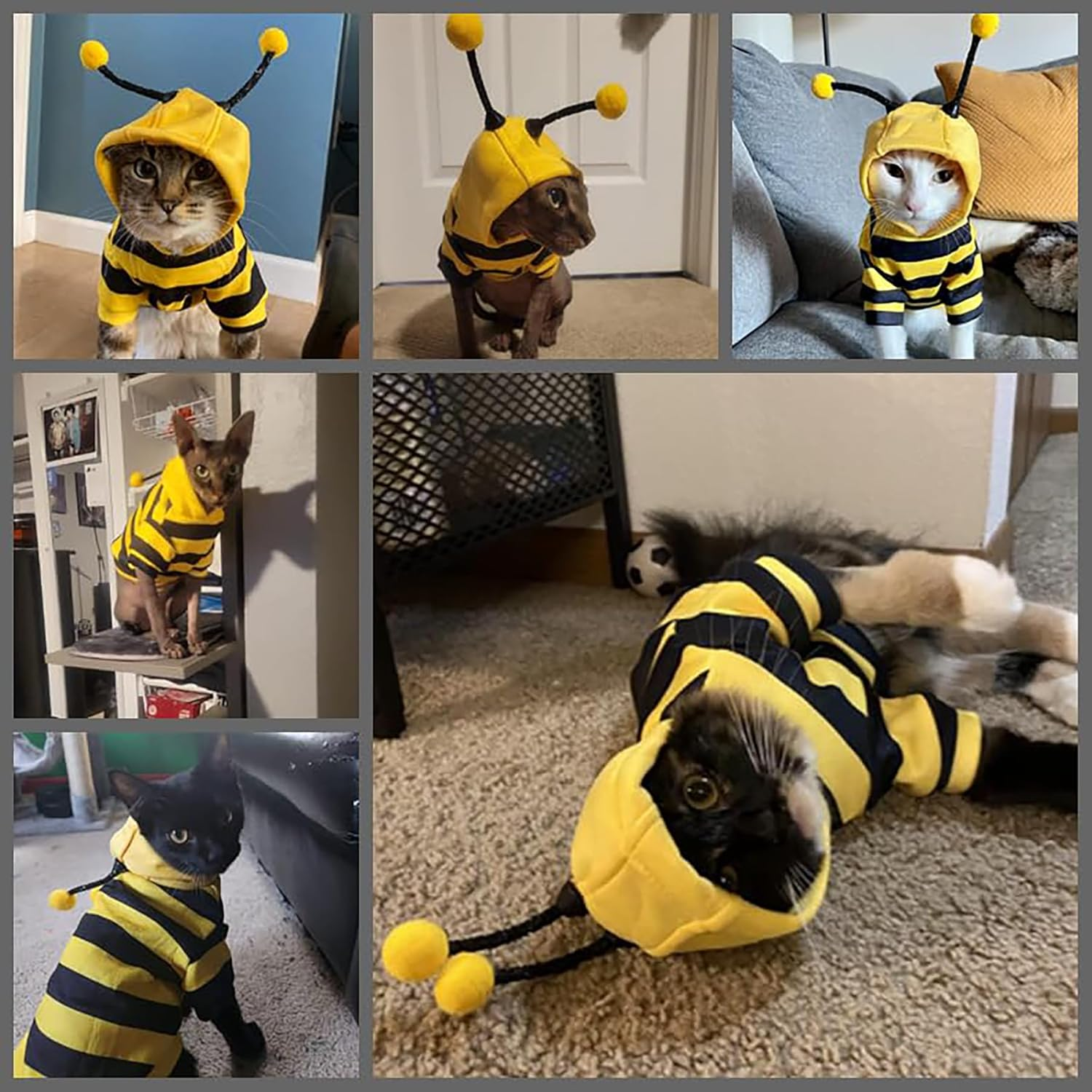 Dog Bee Costume Outfit Bumblebee Hoodie Cat Clothes Funny Dog Hooded Coat for Pet Small Medium Dogs Puppy Chihuahua Yorkie Halloween Party Cosplay, Black and Yellow (X-Large) image number 4