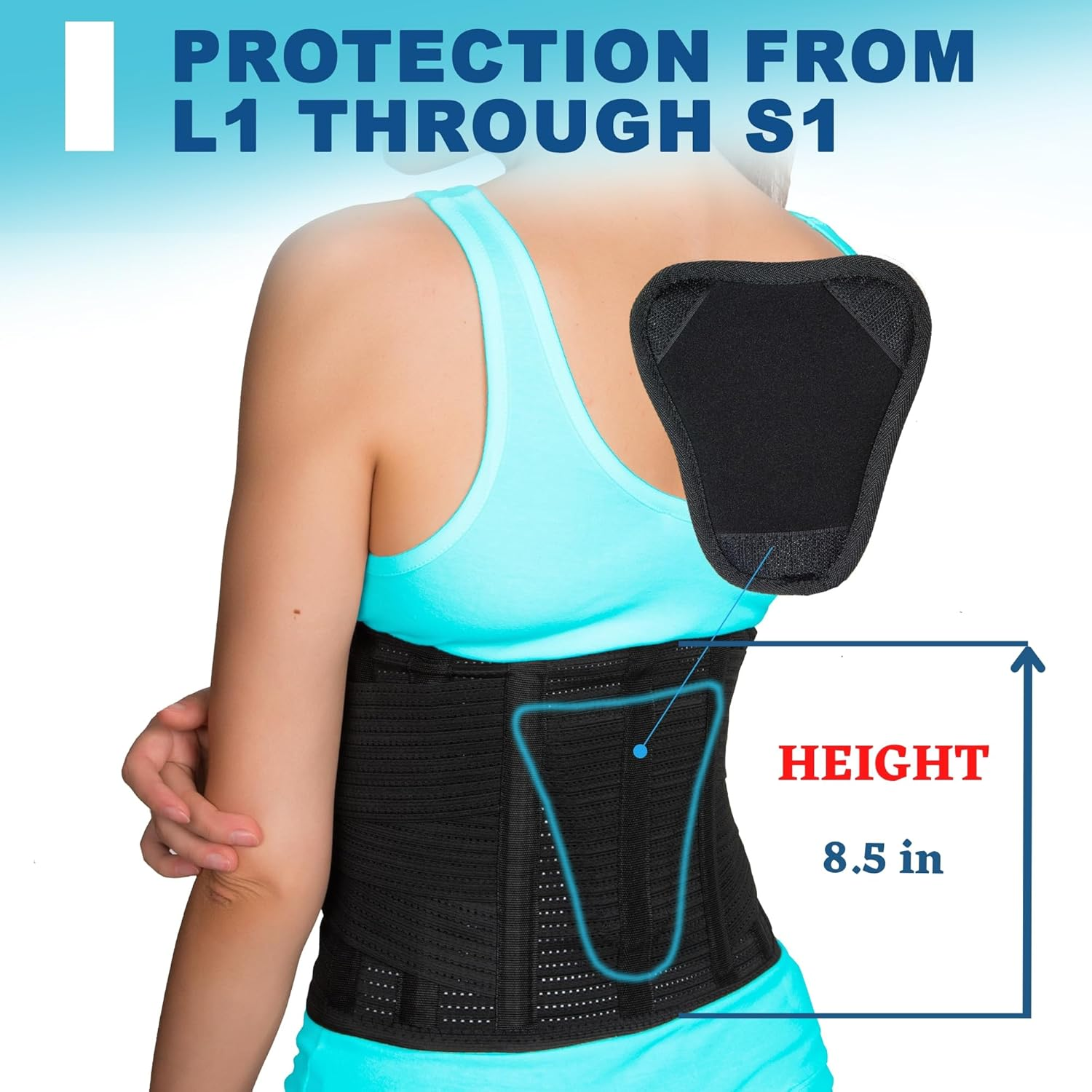 AVESTON Back Brace for Lower Back Pain Relief 6 Ribs Belt with Lumbar Pad Support for Men/Women Light Thin Orthopedic Rigid Adjustable Supporter for Herniated Disc (X-Large) image number 5