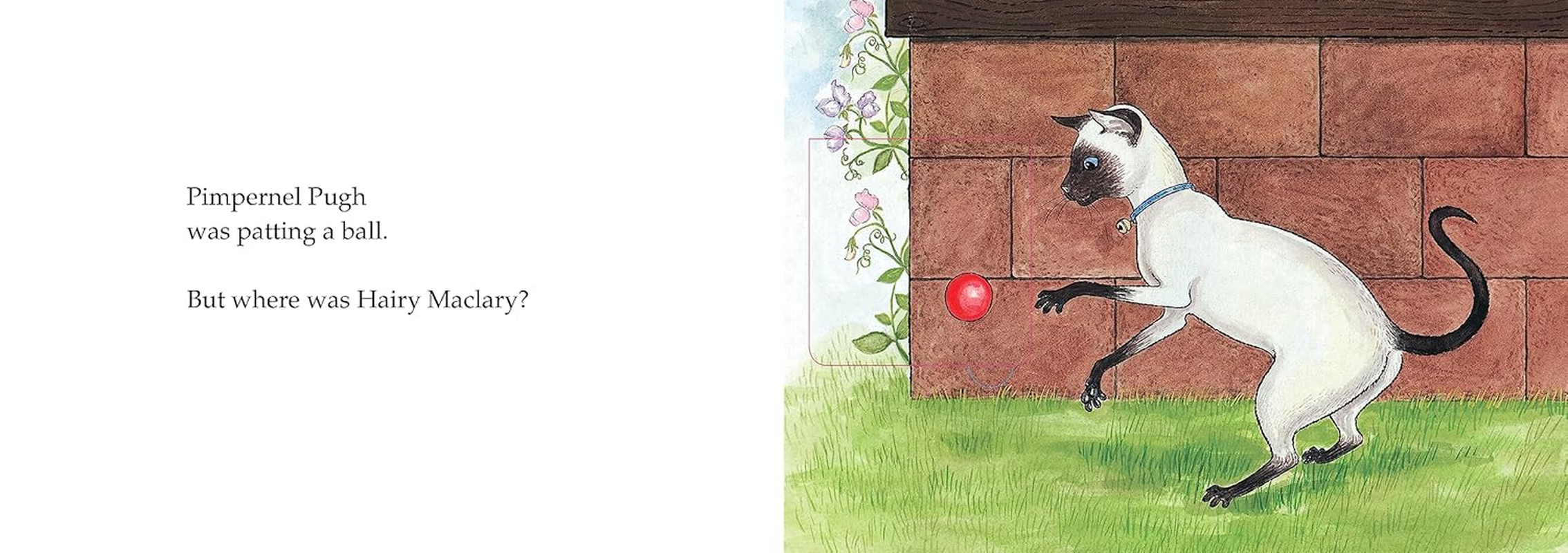 Hairy Maclary, Hide and Seek: a Lift the Flap Book image number 1