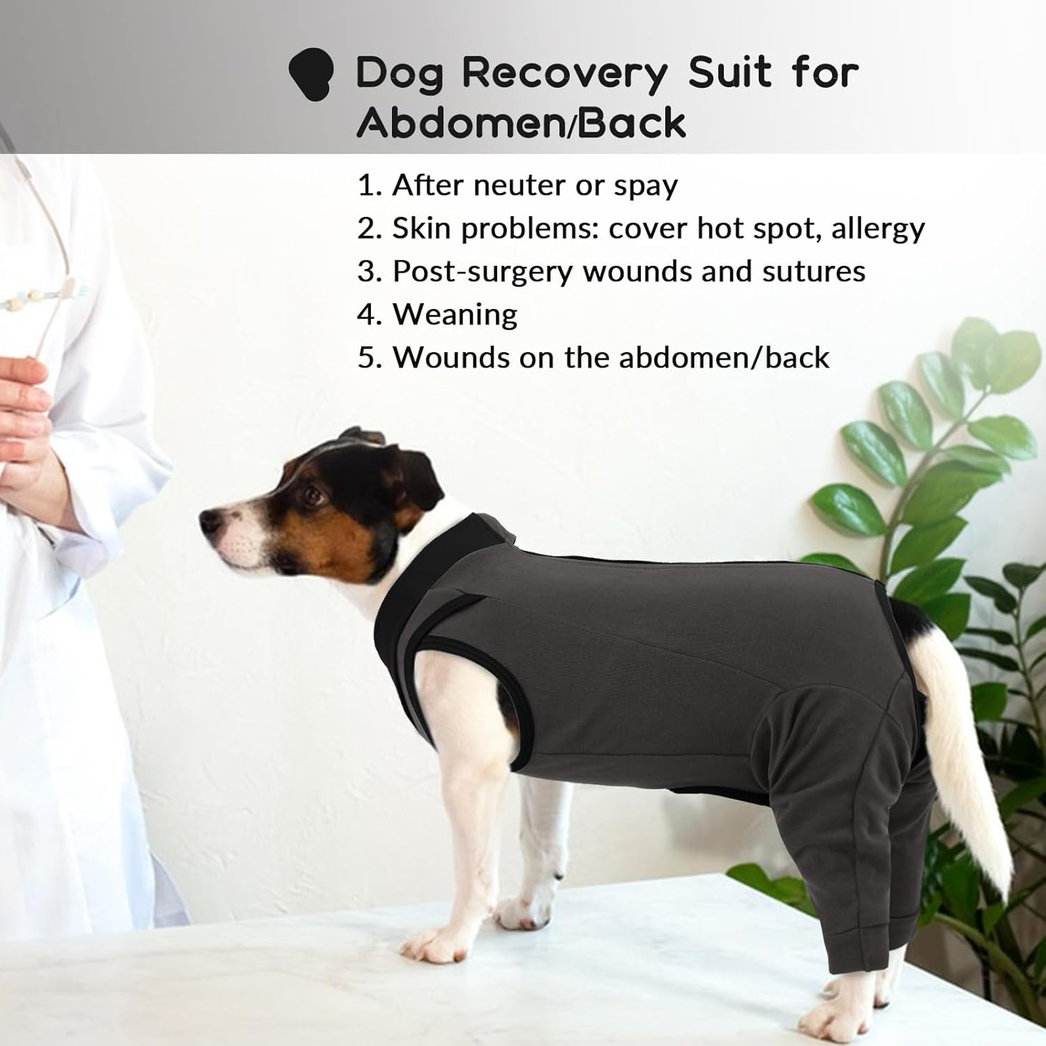 PUMYPOREITY Dog Bodysuit after Op, Dog Bodysuit after Castration Male Elbow Bandage Rear Legs Op Suit Medical Pet Shirt Knee Support Rear Leg (Grey, S) image number 1