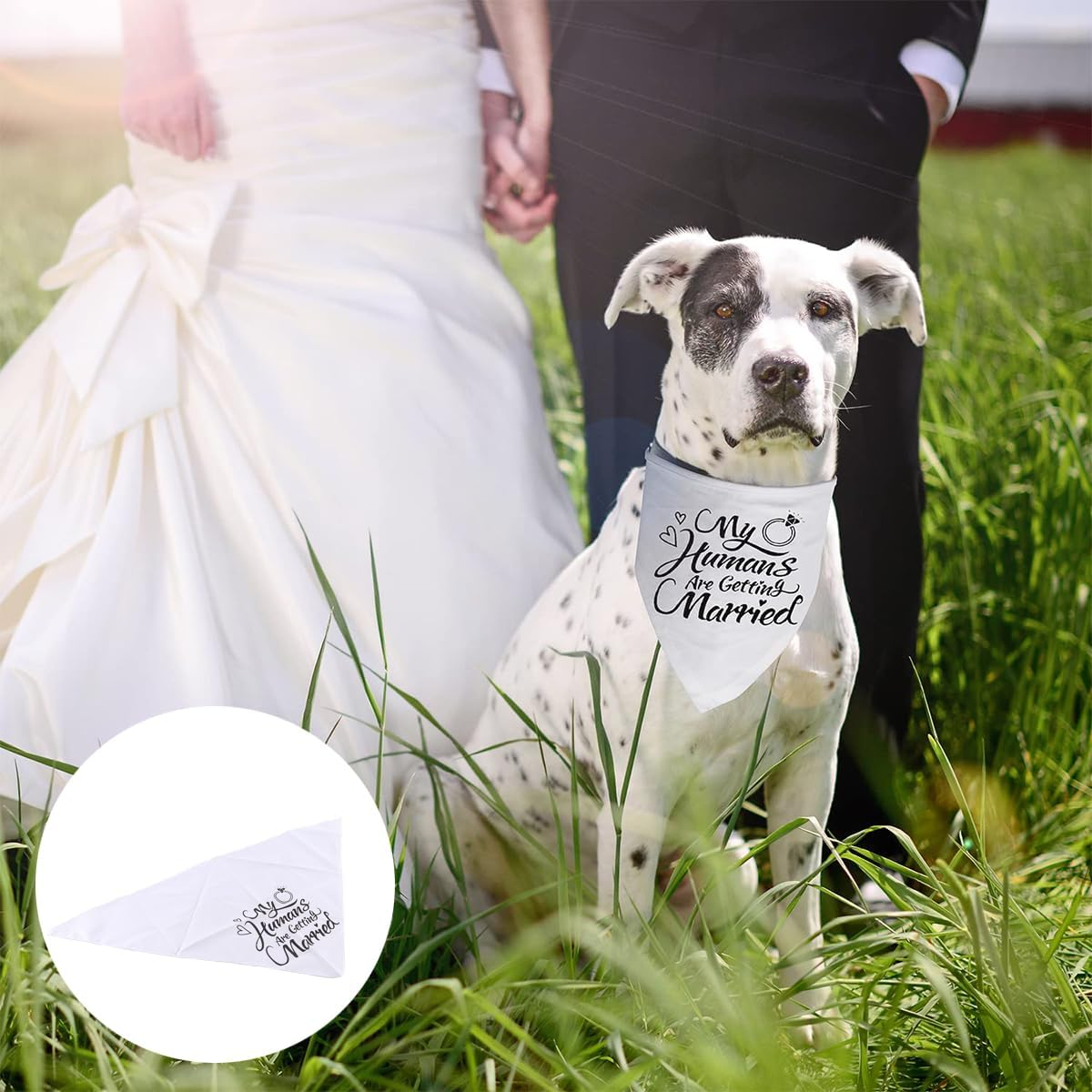 Enwye Wedding Dresses for Dogs for Engagement Day, Handkerchief Pet Dresses for Weddings, Engagement Parties and More! image number 5