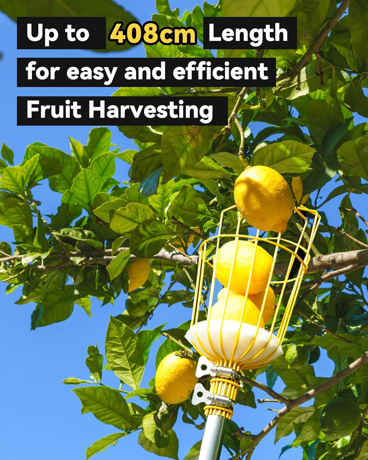 Blumetrec 408Cm Fruit Picker, Apple Picker Tool with Adjustable Pole and Basket, Long Reach Mango Grabber Tool, Tree Fruit Catcher for Picking Lemon Pear Orange Avocado Peach Citrus image number 3