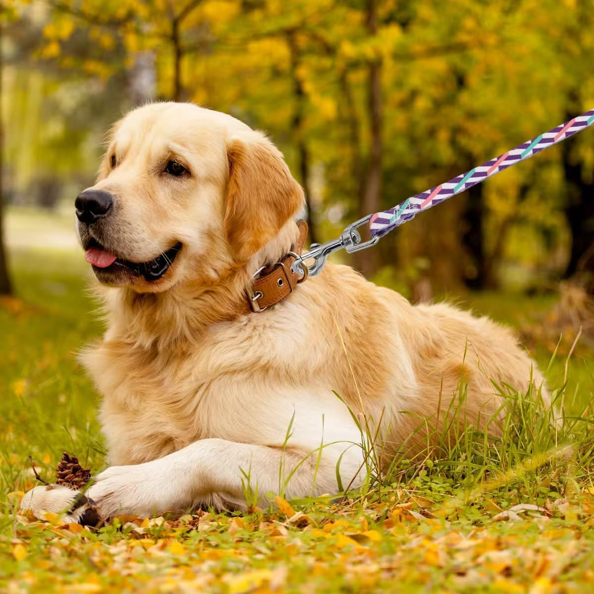 Adjustable Pig Harness with Leash Set Pet Dog Supplies Harness with Leash Set for for Hog Piggy Rabbit Small Animals Walking Jogging (White) image number 2