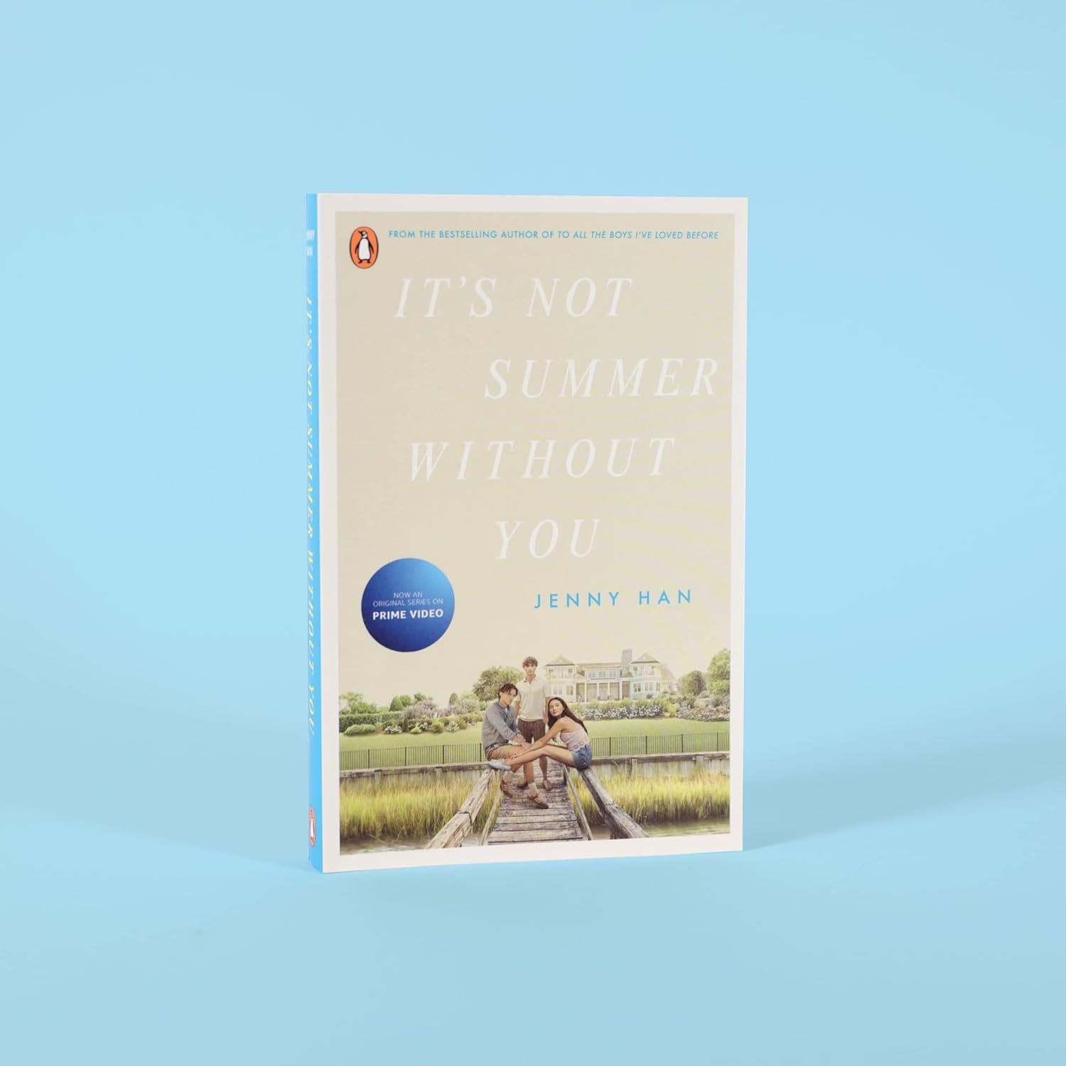 It'S Not Summer without You: Book 2 in the Summer I Turned Pretty Series image number 4