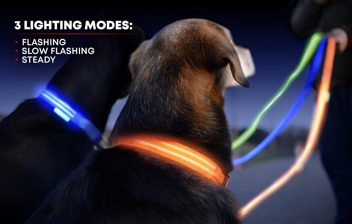LED Dog Collar, USB Rechargeable, Your Dog Will Be More Visible & Safe, 6 Colours (Red, Blue, Green, Pink, Orange & Yellow) and 6 Sizes - Perfect to Use with Our Matching Illumiseen Leash (Royal Blue, X-Small (23 &ndash; 35Cm))