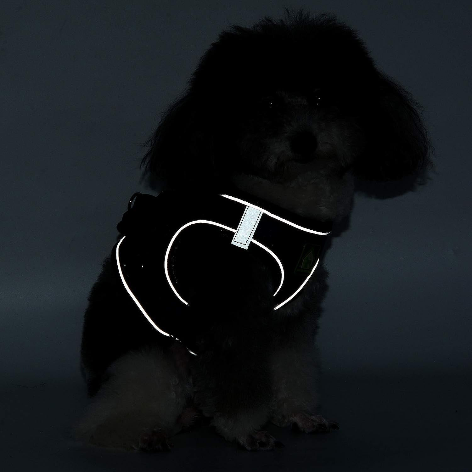 ZUNEA Small Dog Harness and Lead Set No Pull Puppy Vest Harnesses Adjustable Reflective Soft Mesh Step-In Pet Cat Harness Escape Proof for Walking, Bright Colors for Dogs Girl Boy Darkblue XL image number 4