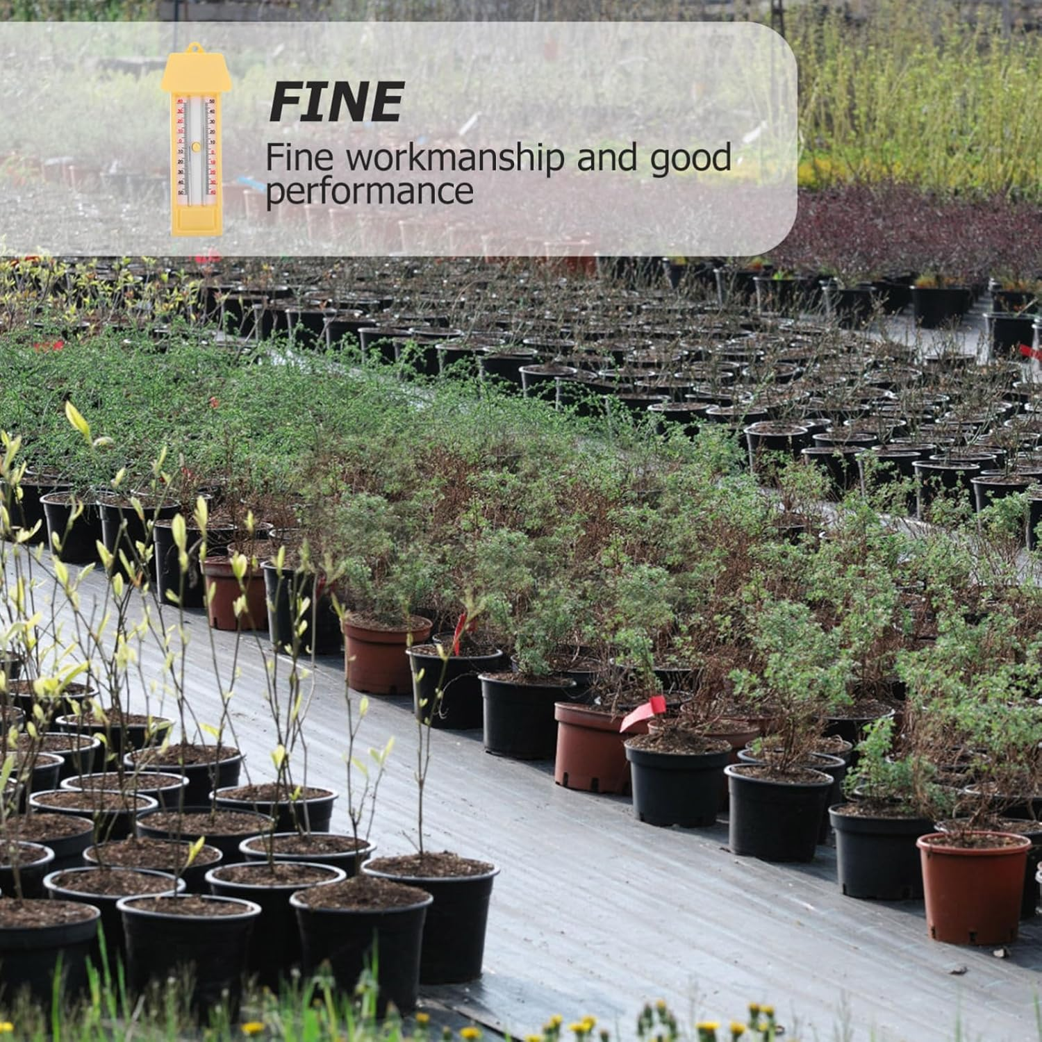 Ciieeo Maximum and Minimum Thermometer for Garden and Greenhouse Indoor Outdoor Use Accurate Celsius Fahrenheit Display for Temperature Monitoring image number 3