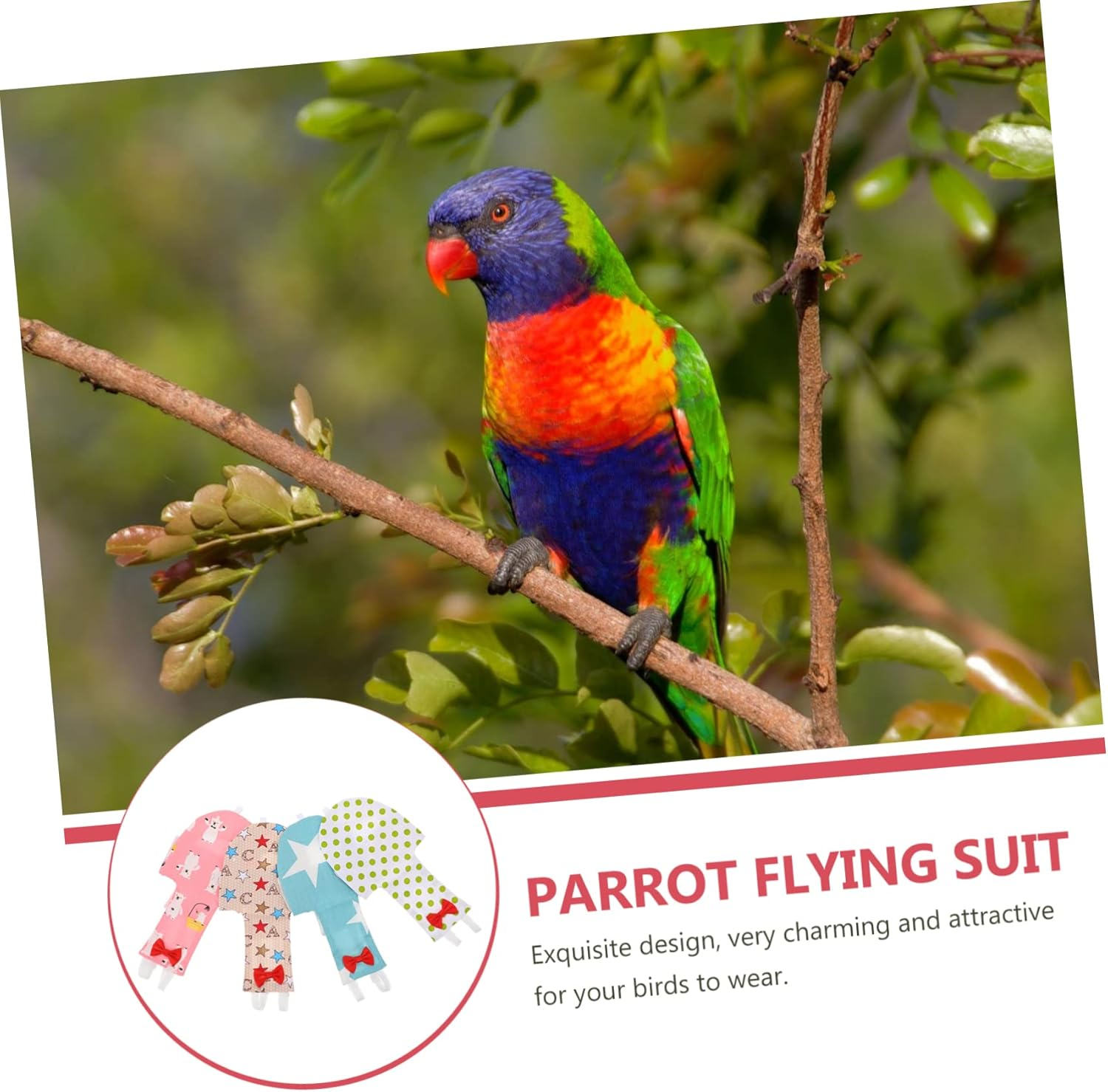 BESPORTBLE 8Pcs Pet Parrot Diaper Breathable Bird Diaper for Birds for Home Outdoor Play image number 6