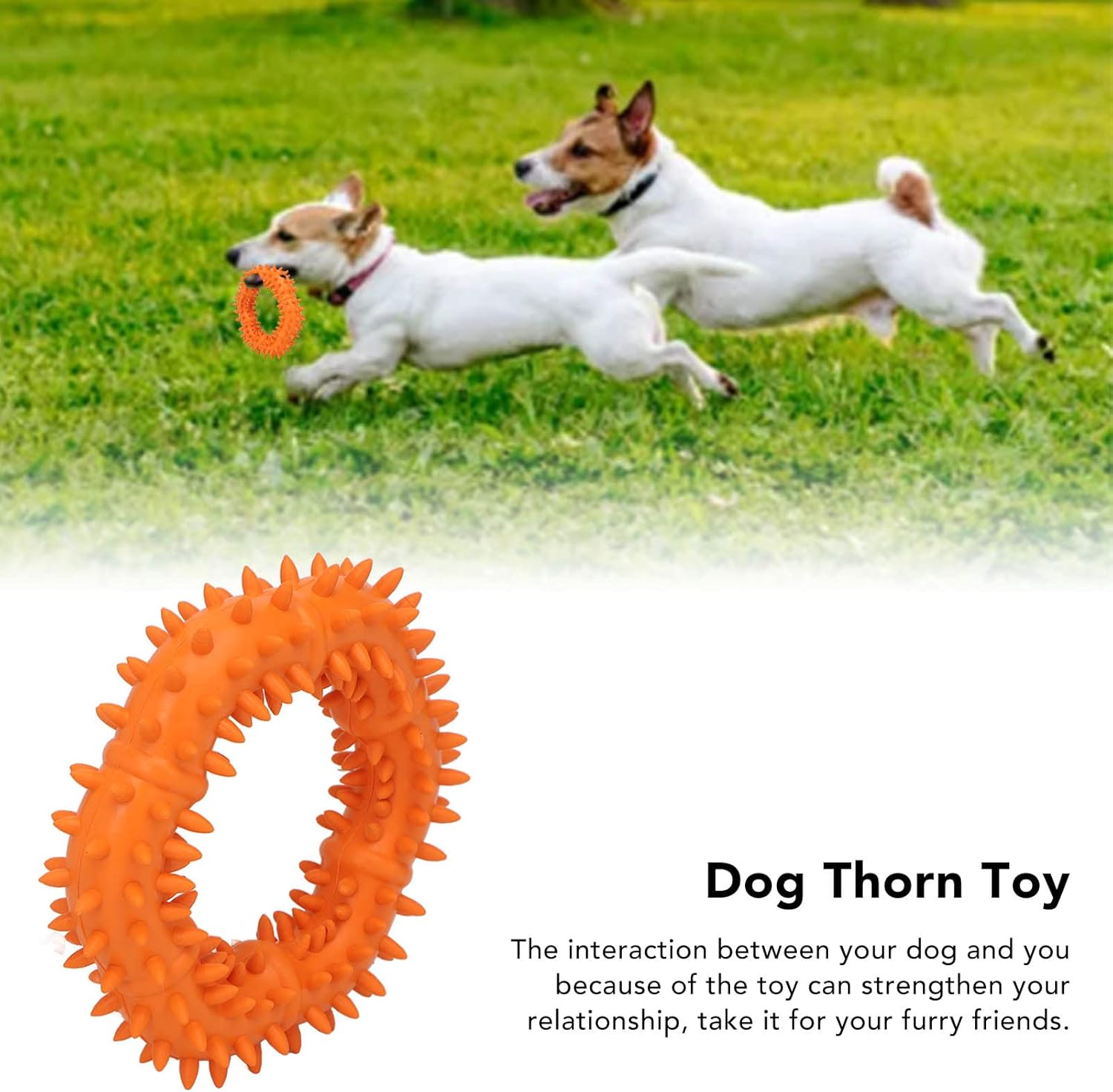 JOROBURO Dog Chew Toy, Thorn Design Rubber Lightweight Throwing Catching Flying Burr Ring Dog Toy, Durable Indestructible Dog Thorn Toy for Pet Stress Relief Teeth Grinding Training image number 4