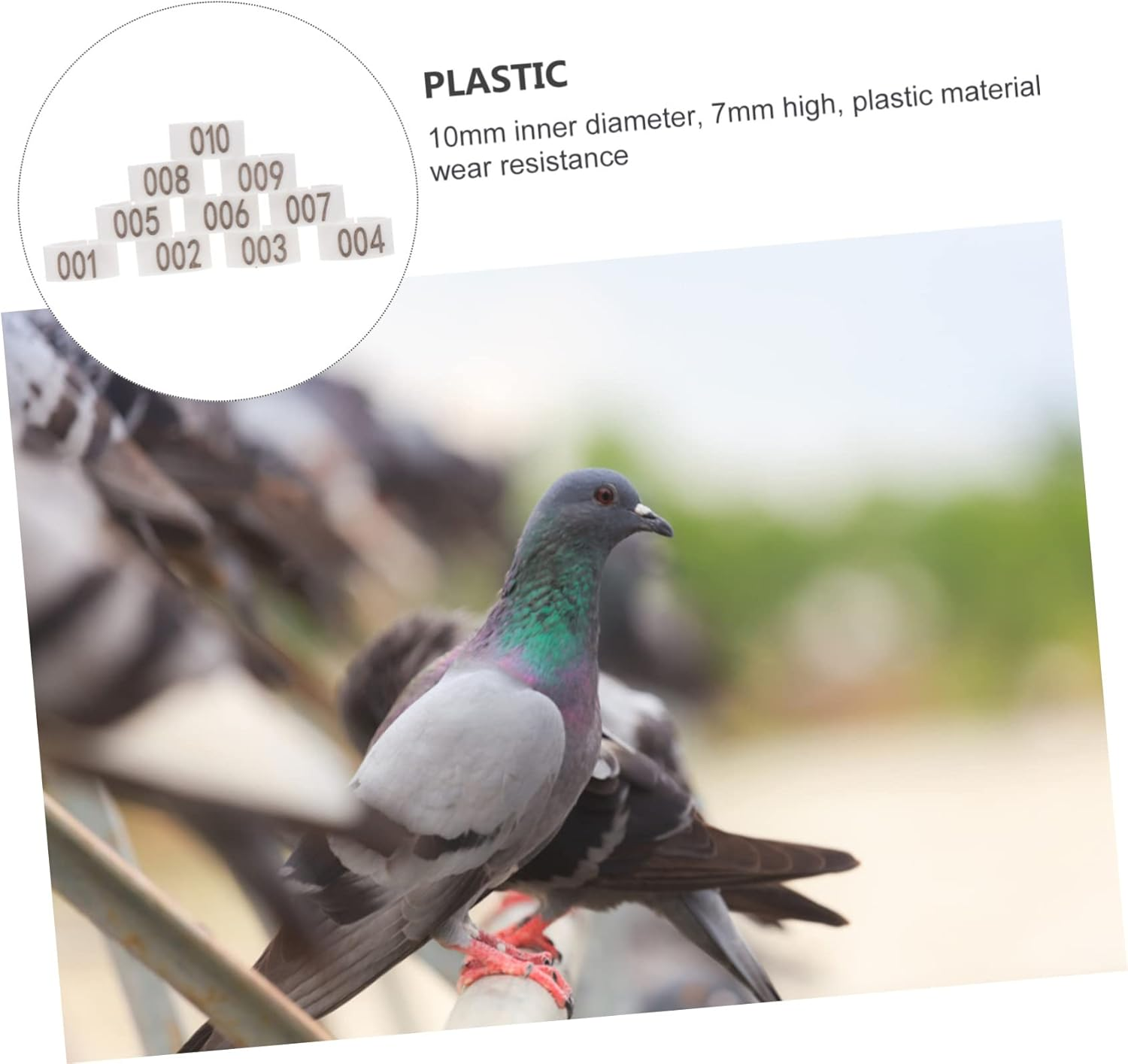 Beavorty 100Pcs Digital Foot Ring Pigeon Foot Ring Numbered Bird Leg Pigeon Identification Bands for Bird Poultry Leg Bands image number 6