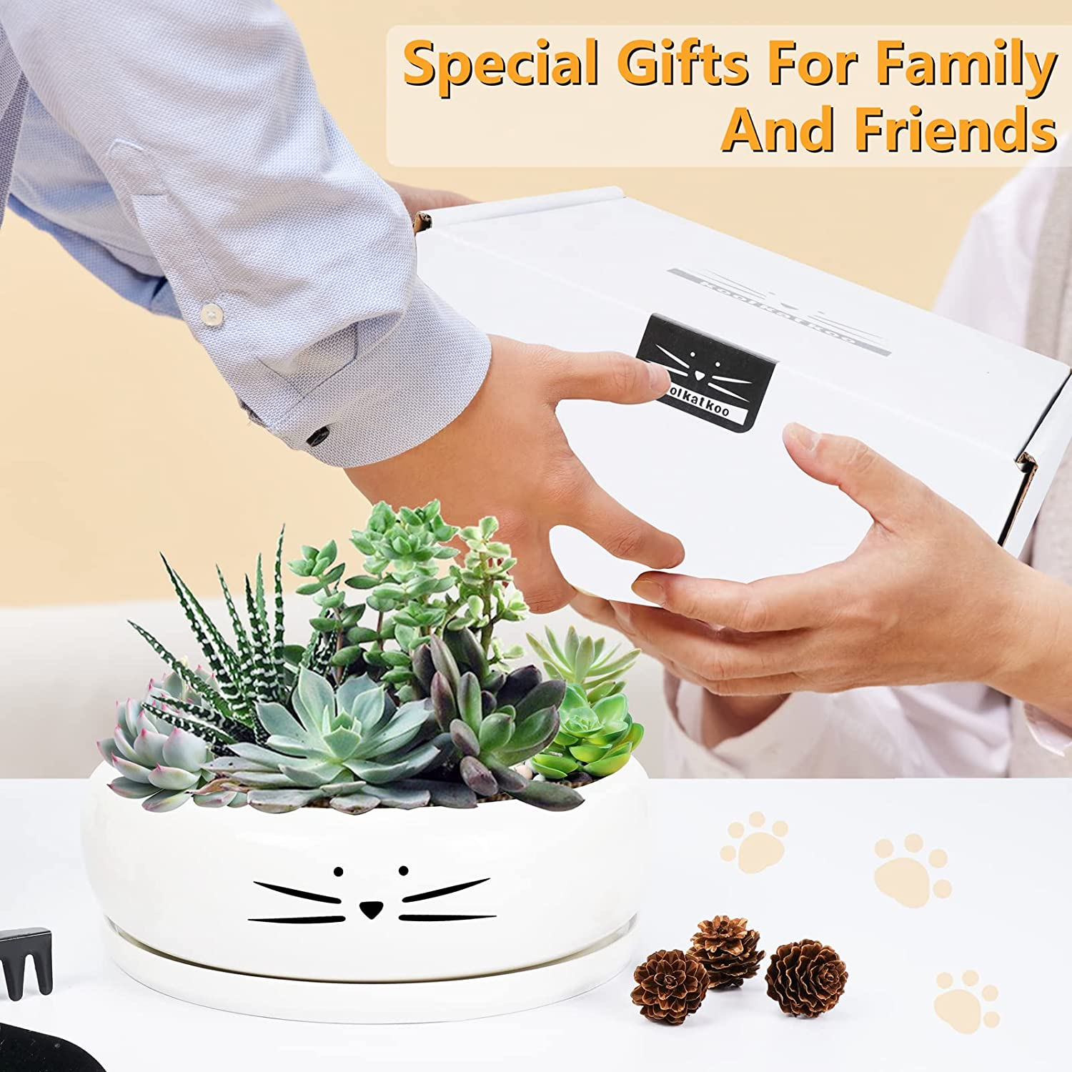 Koolkatkoo 8 Inch Large Cute Cat Ceramic Succulent Planter Pots with Removable Saucer Unique Porcelain Cactus Planters Decorative Flower Pot for Cat Lovers White image number 6