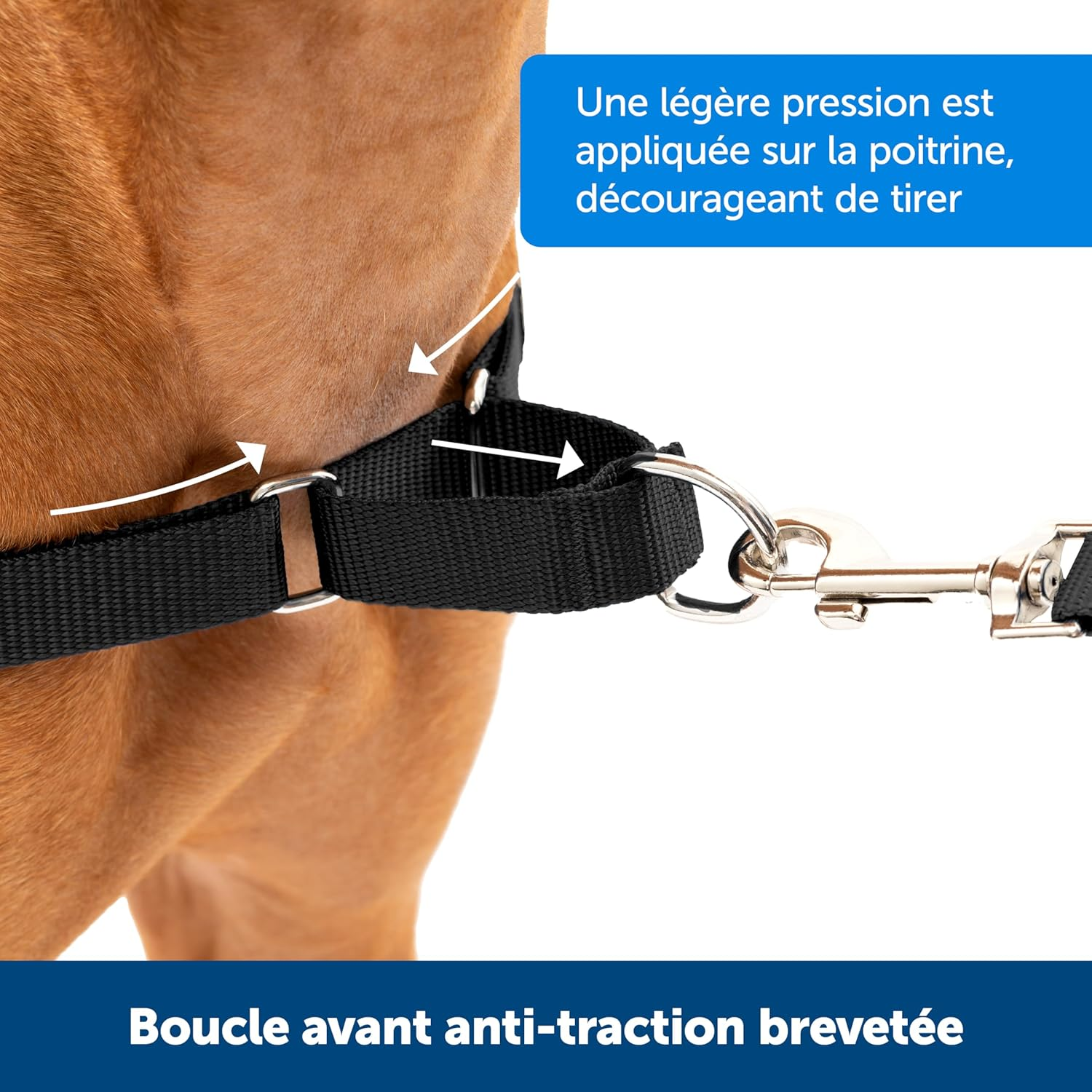 Petsafe Easy Walk Harness for Small/Medium/Large Dogs, Medium, Pink, 1.8 M Lead image number 3